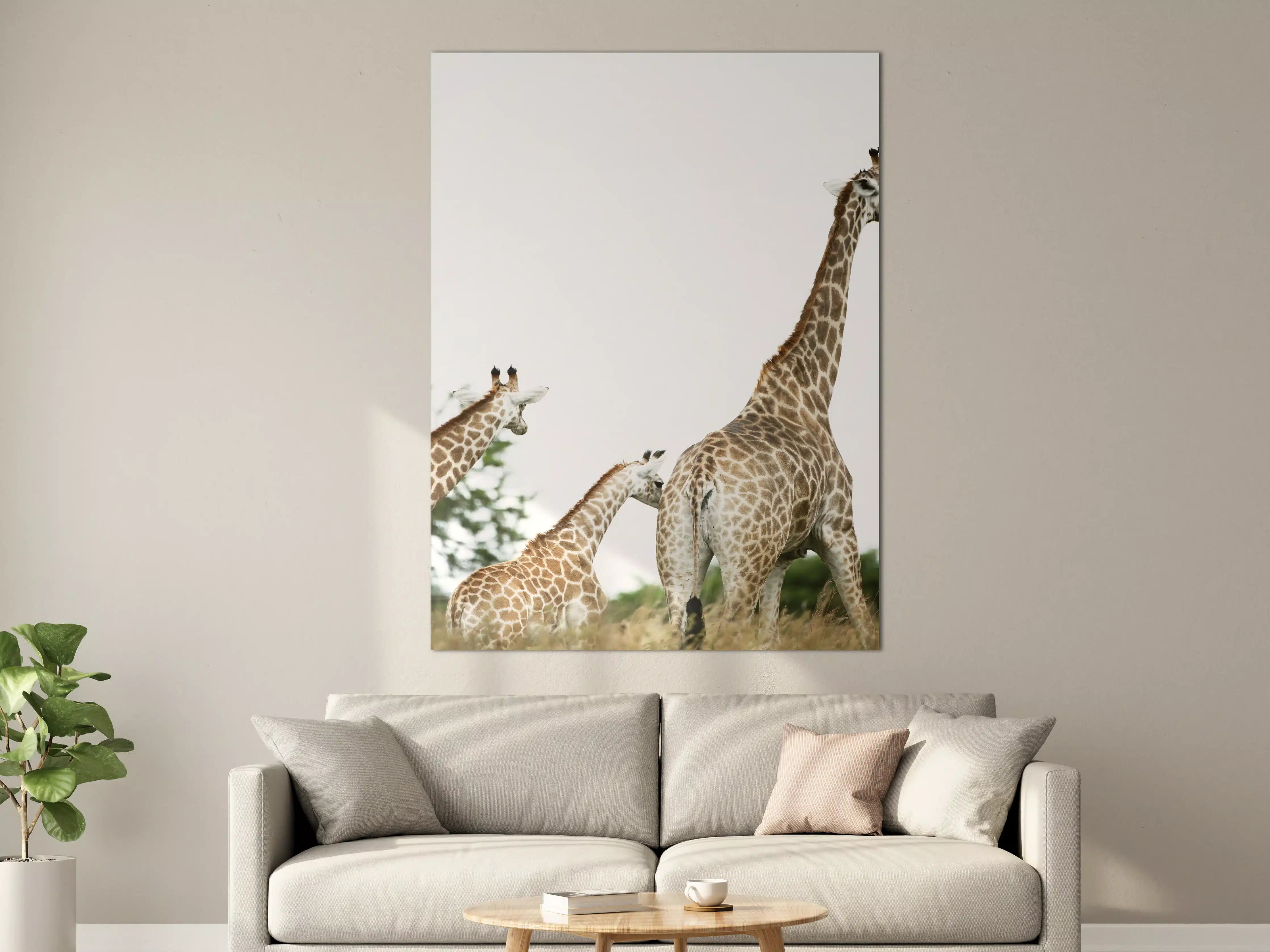 Große Wandbilder - Giraffen Familie - hell