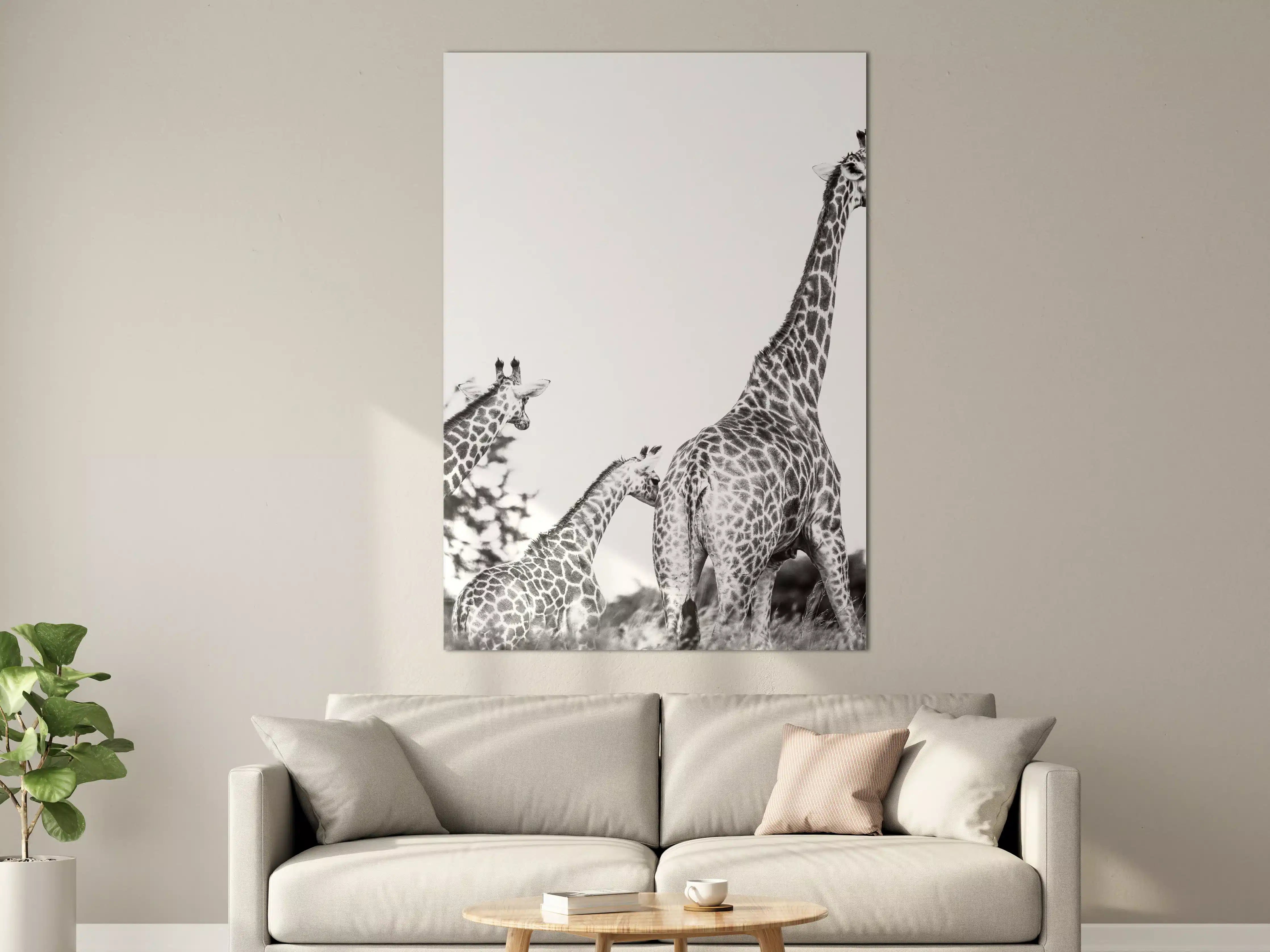 Große Wandbilder - Giraffen Familie - schwarz-weiß