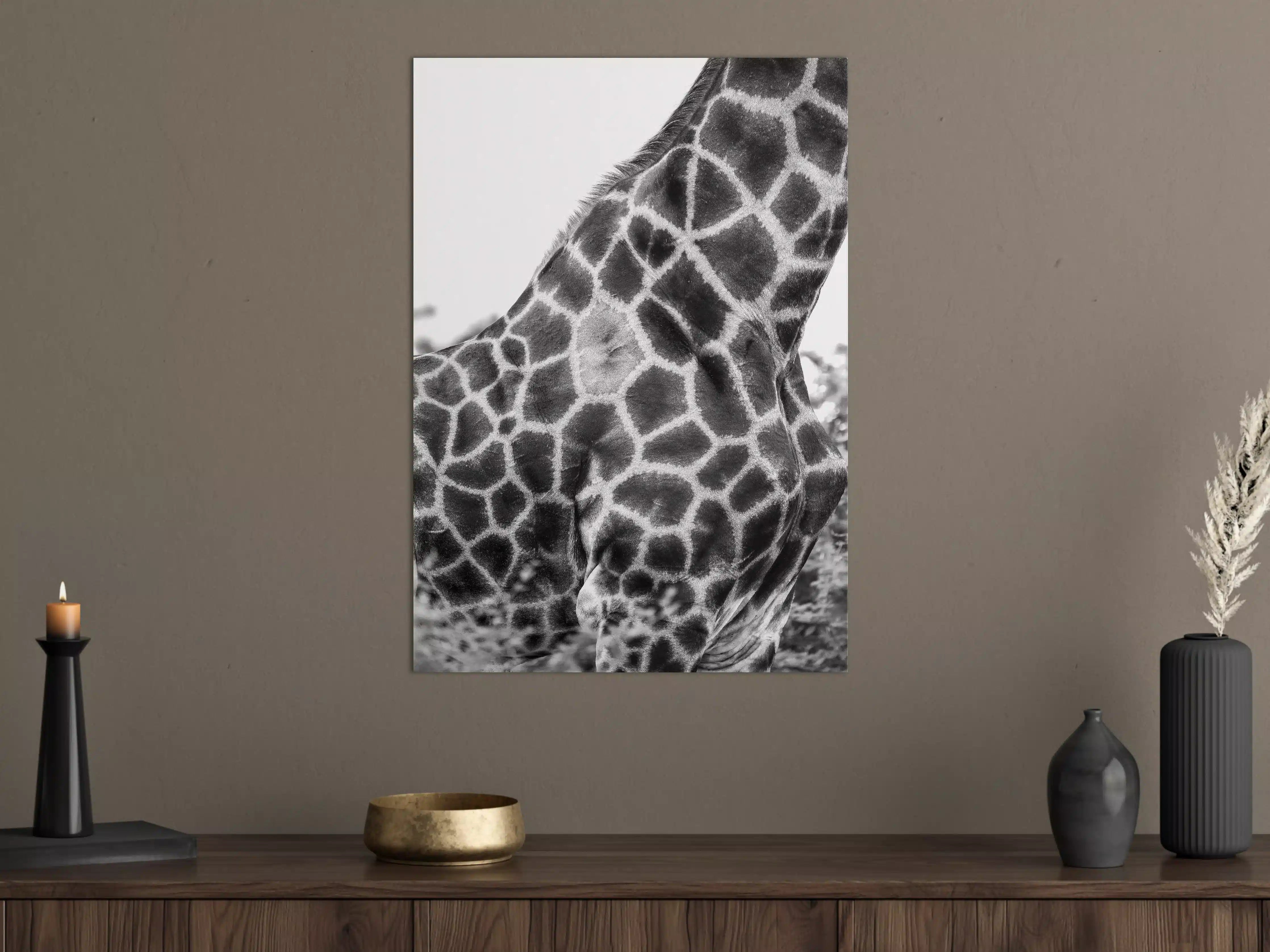 Große Wandbilder - Giraffen Oberkörper