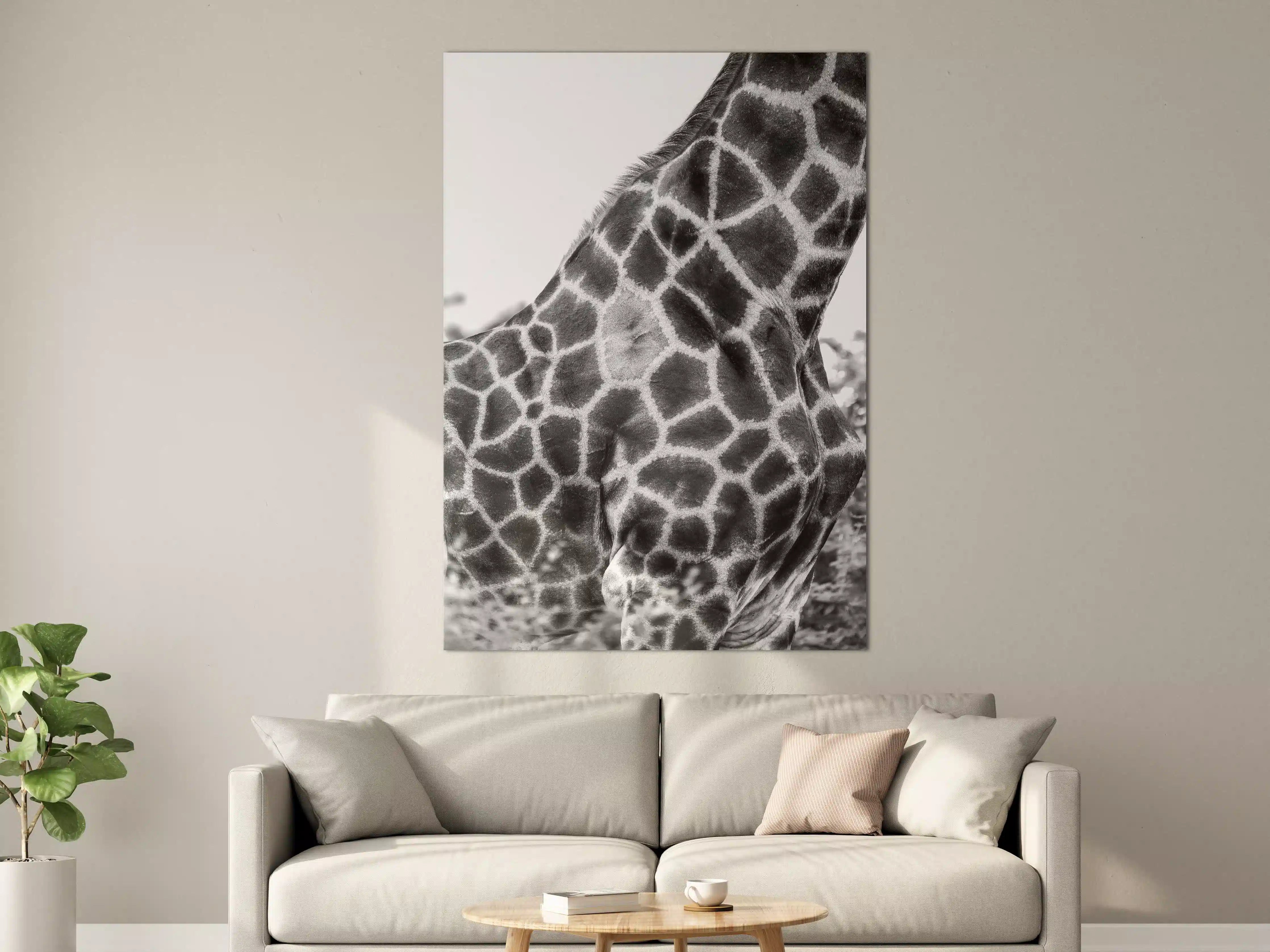 Große Wandbilder - Giraffen Oberkörper