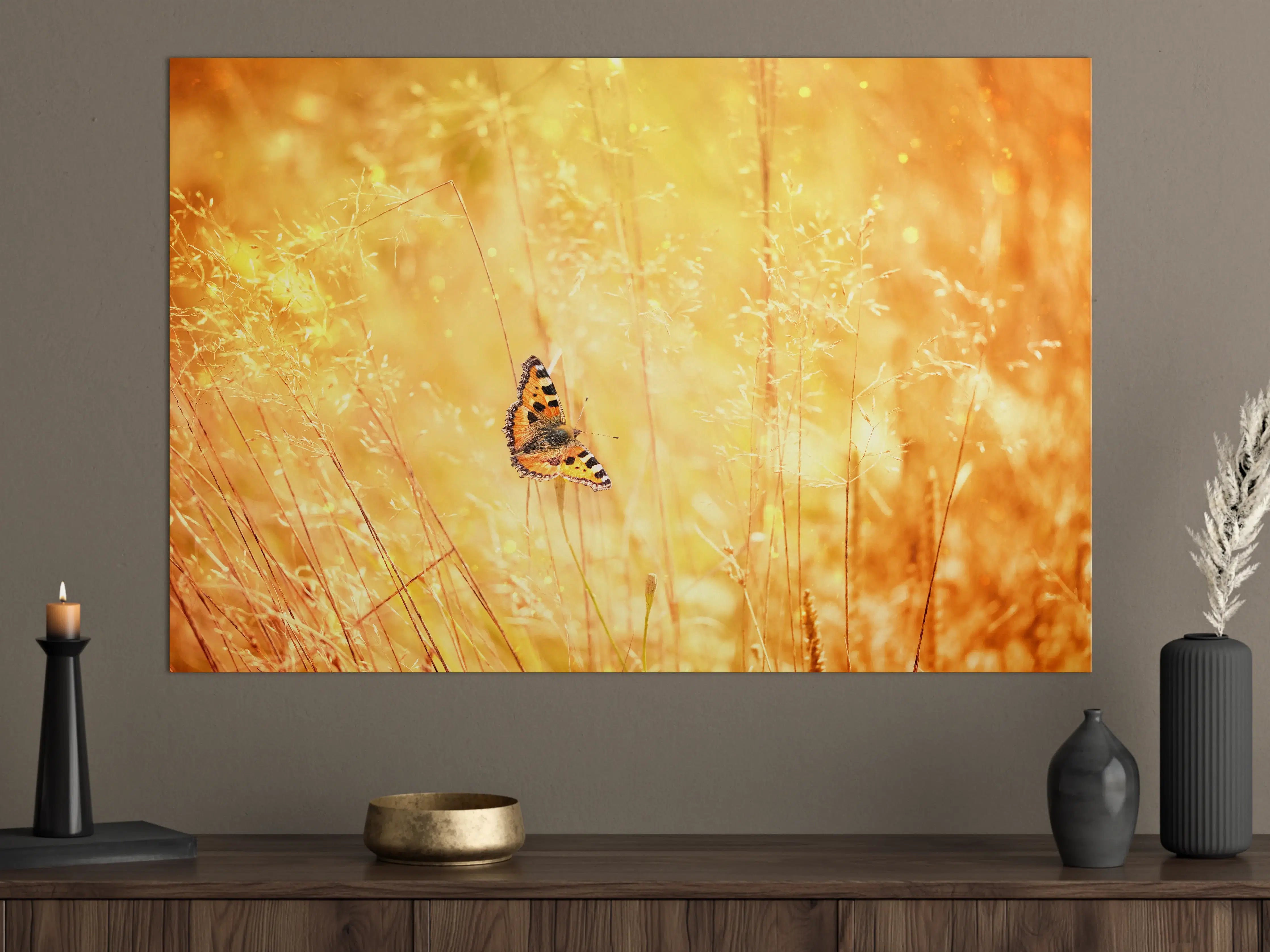 Große Wandbilder - Goldener Sonnenuntergang mit Schmetterling