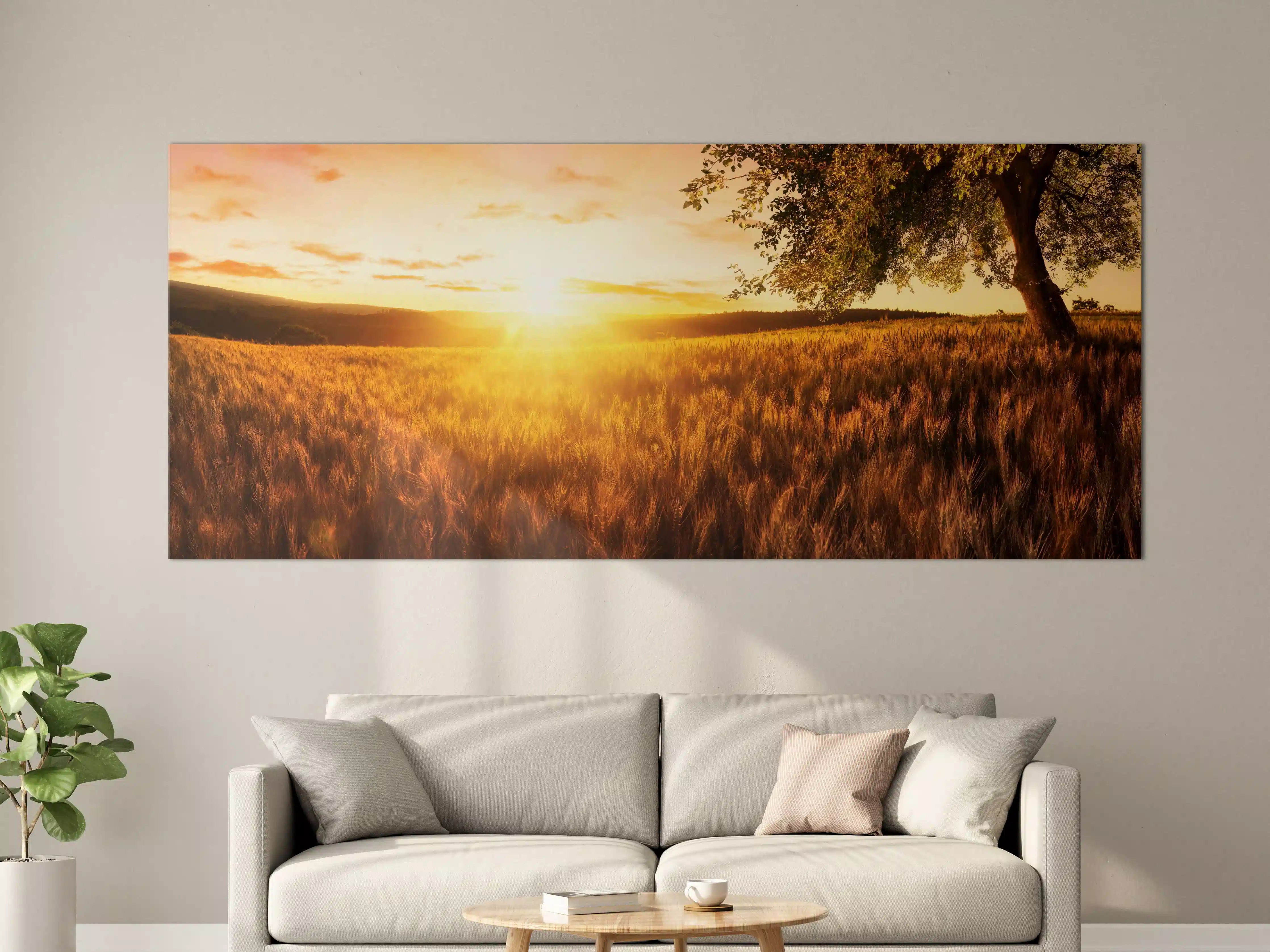 Große Wandbilder - Goldener Sonnenuntergang über der Wiese