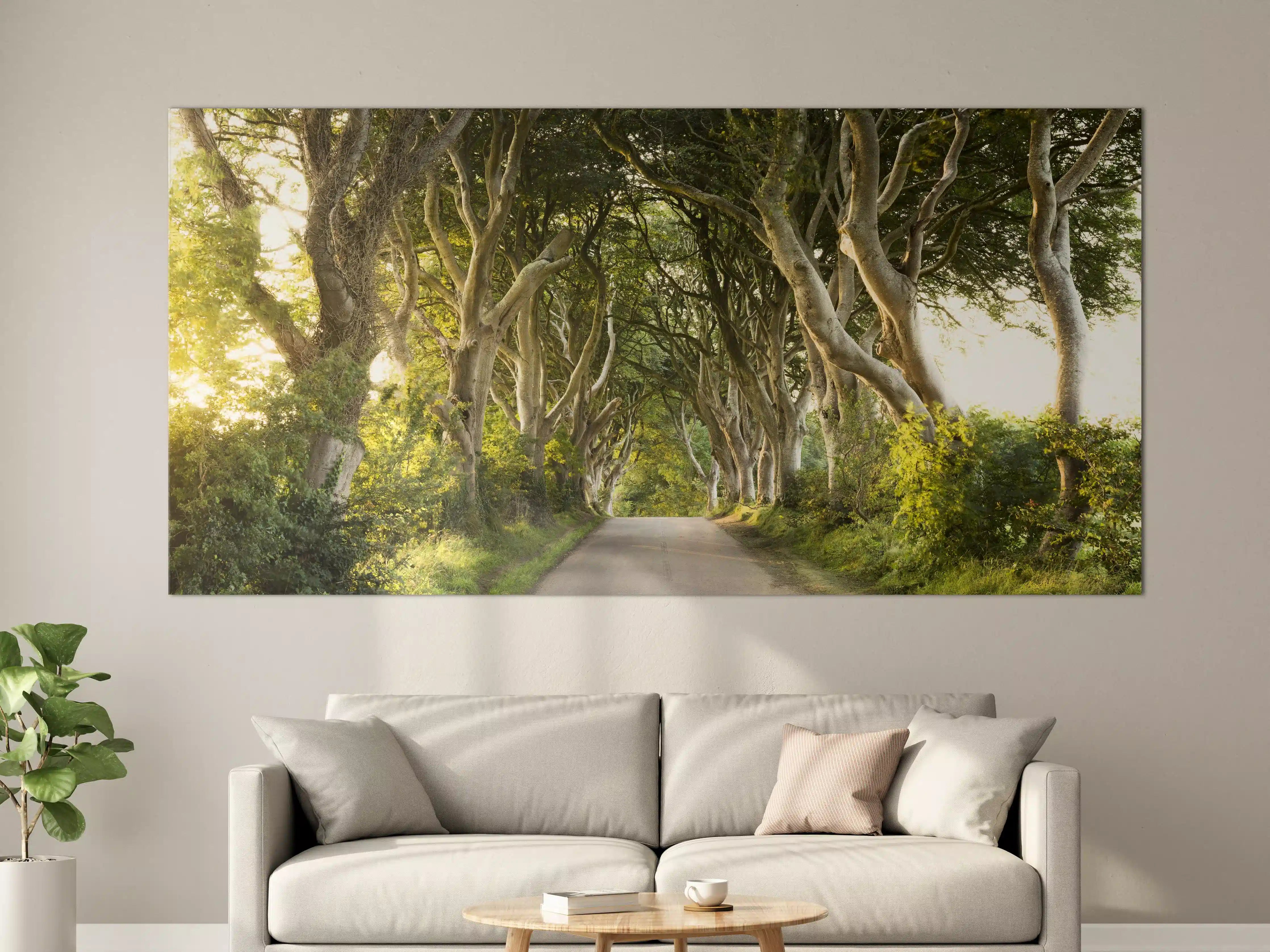 Große Wandbilder - Goldener Weg im Wald