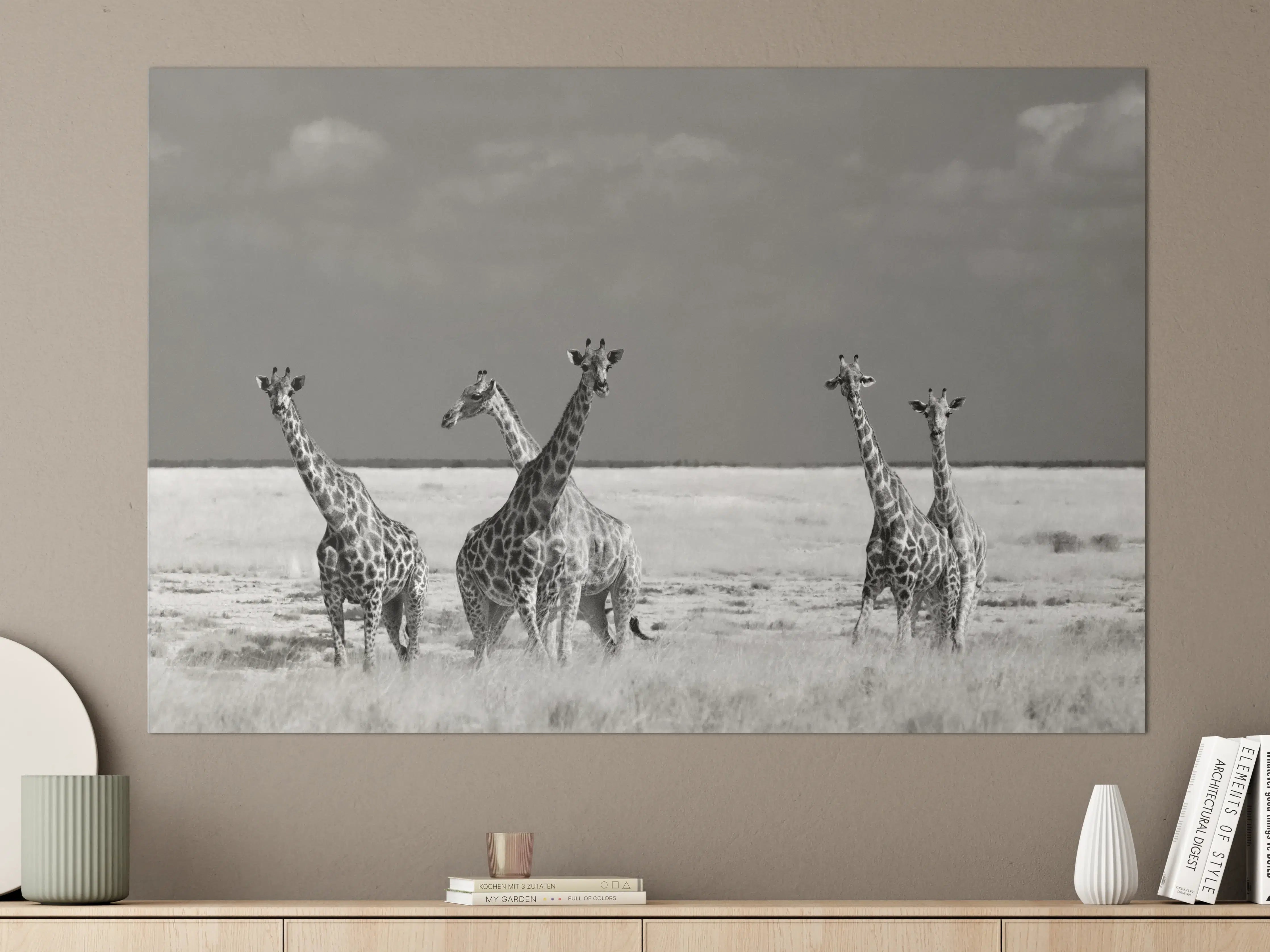 Große Wandbilder - Graue Giraffen im Sonnenlicht