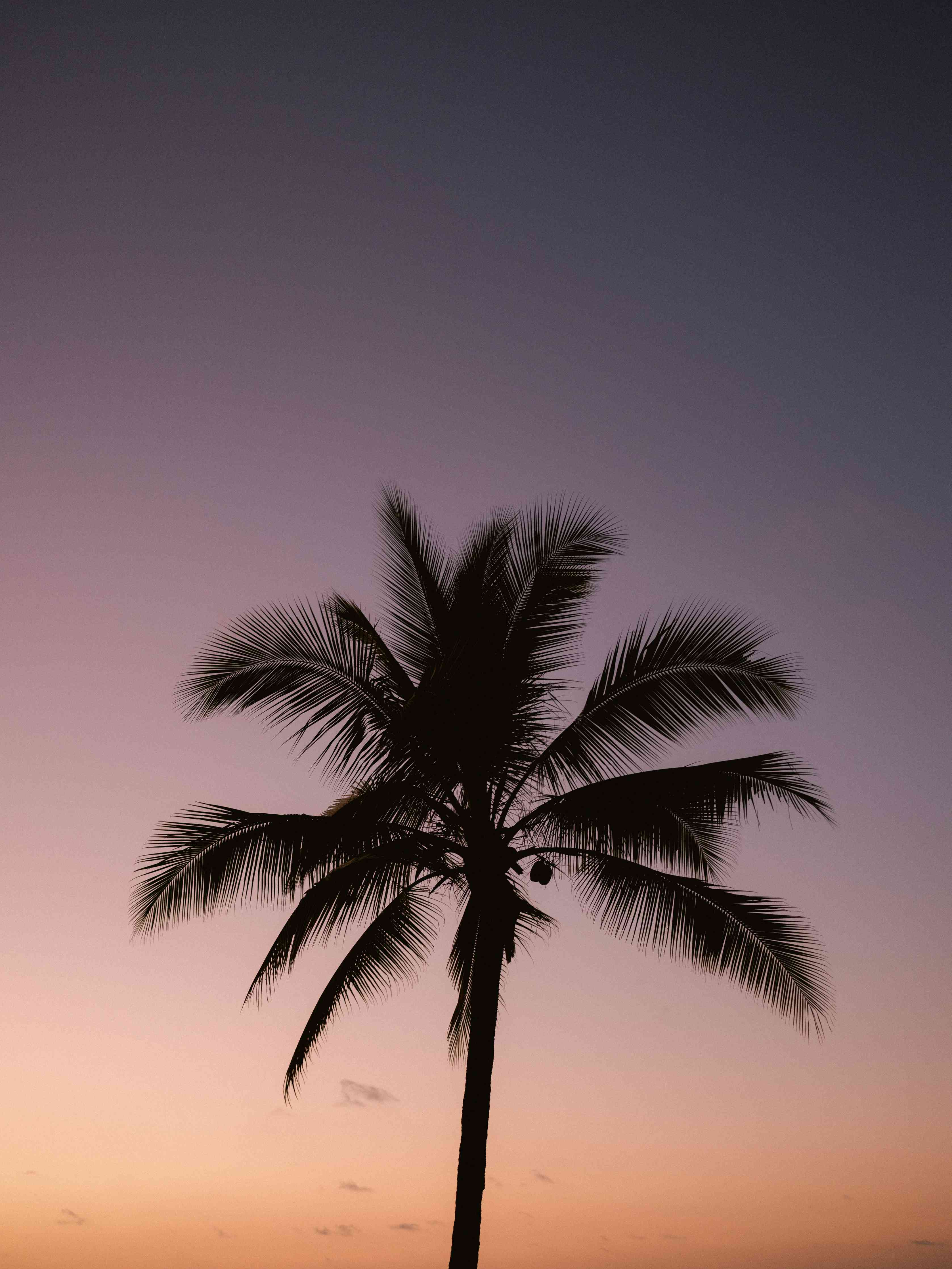 Große Wandbilder-Graue Schatten am Abendstrand