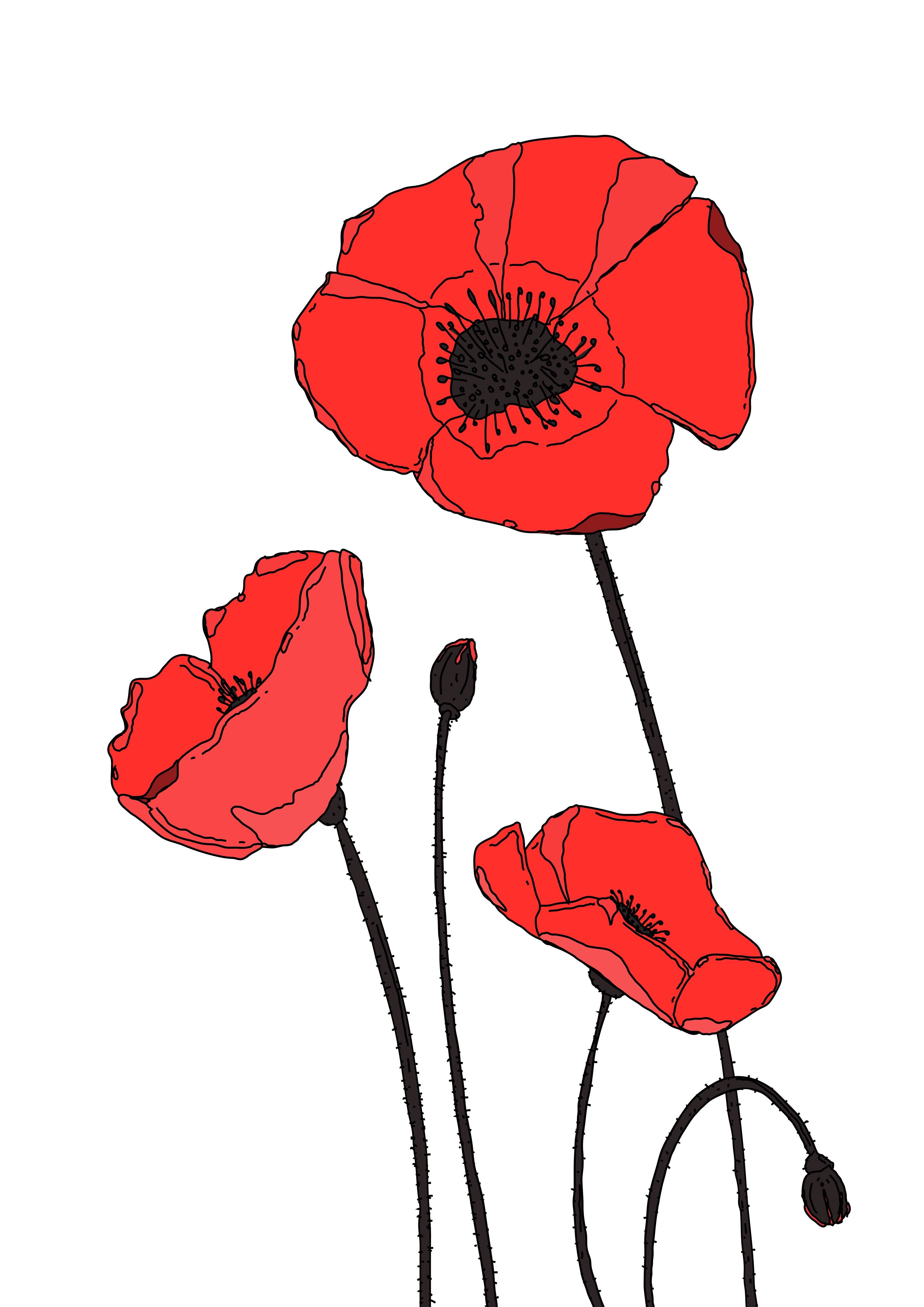 Große Wandbilder-Graue Schatten, rote Mohnblumen