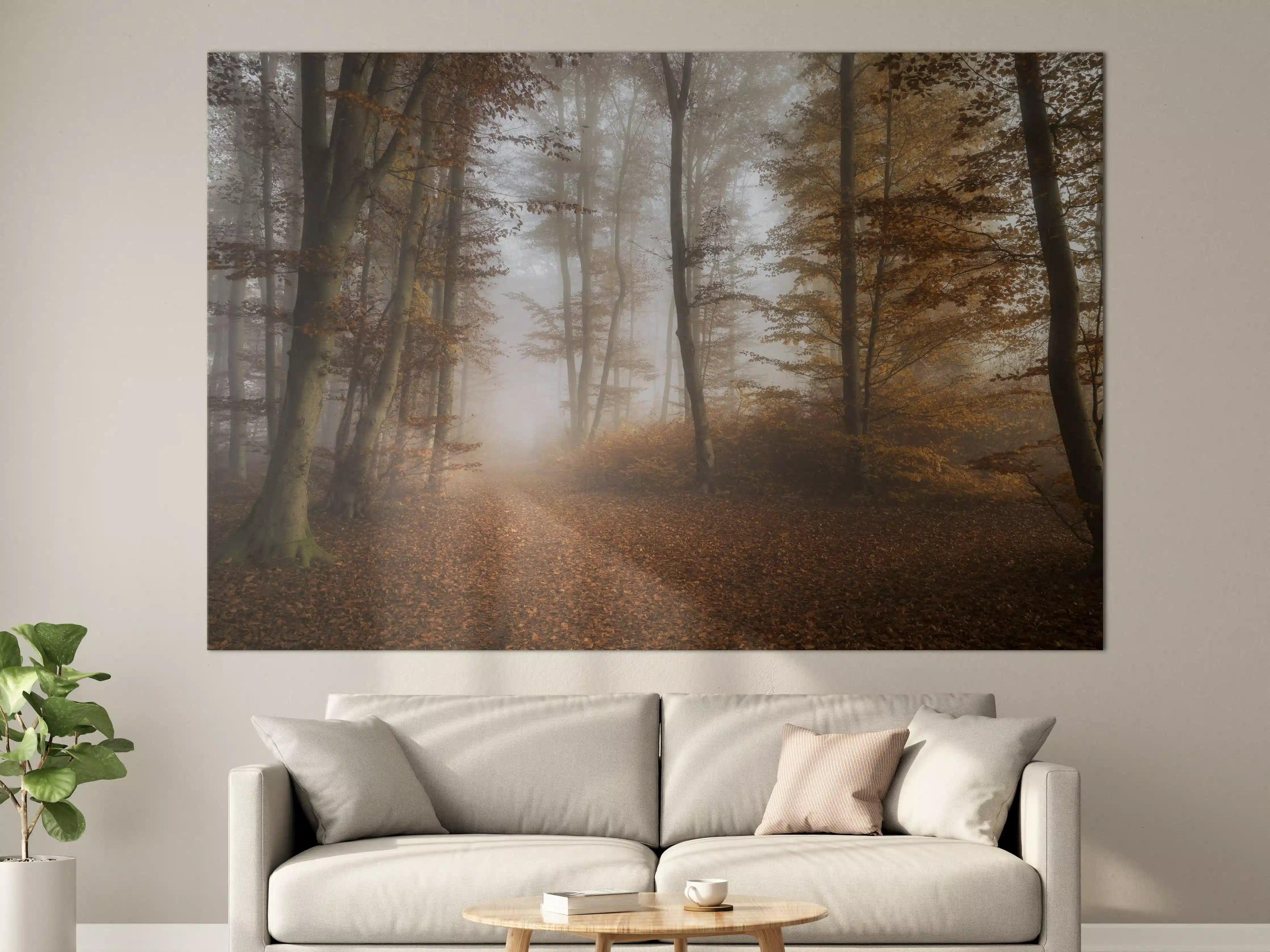 Große Wandbilder - Grauer Herbstnebel im Wald