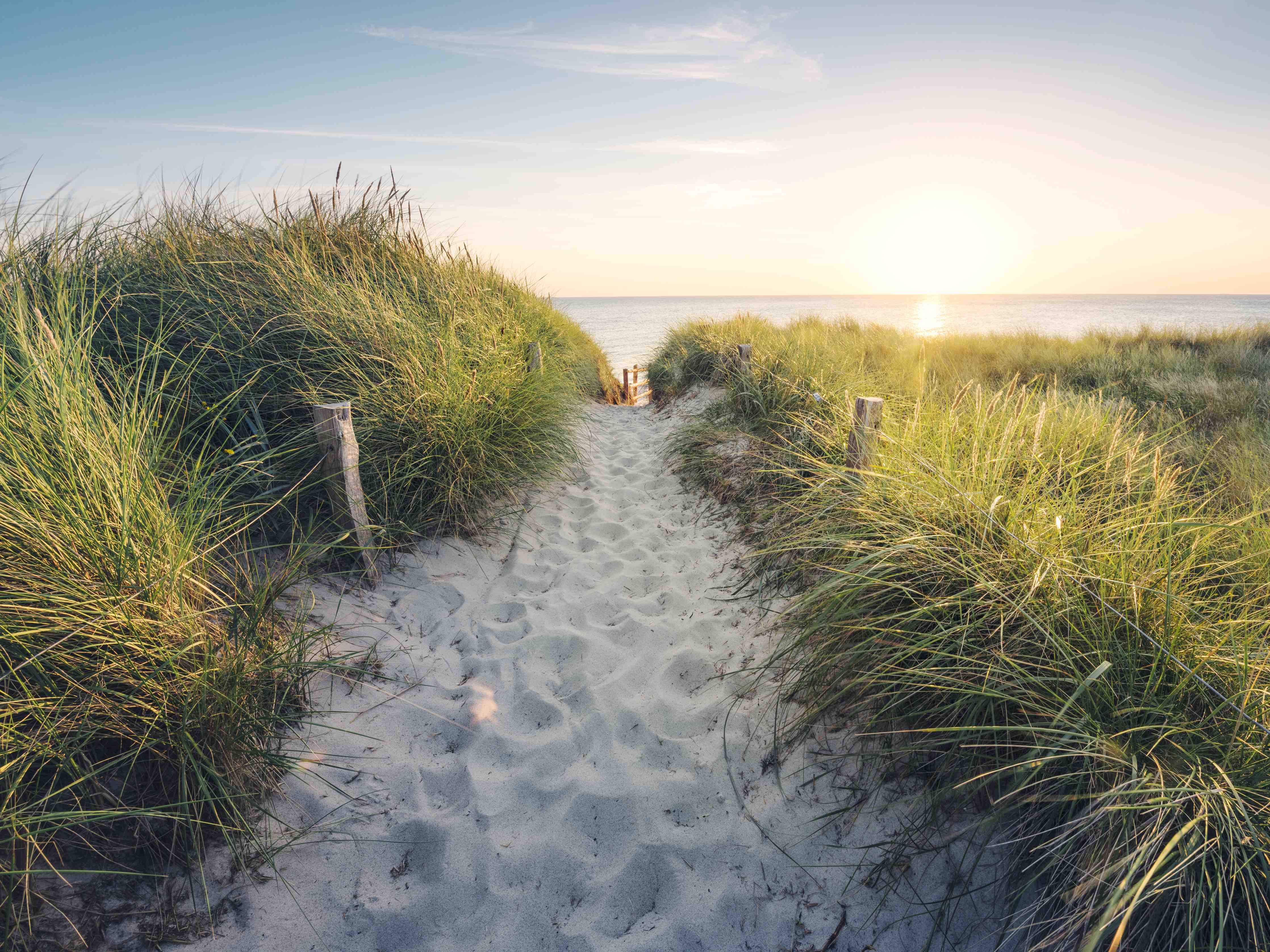 Große Wandbilder-Grauer Himmel am Dünenstrand