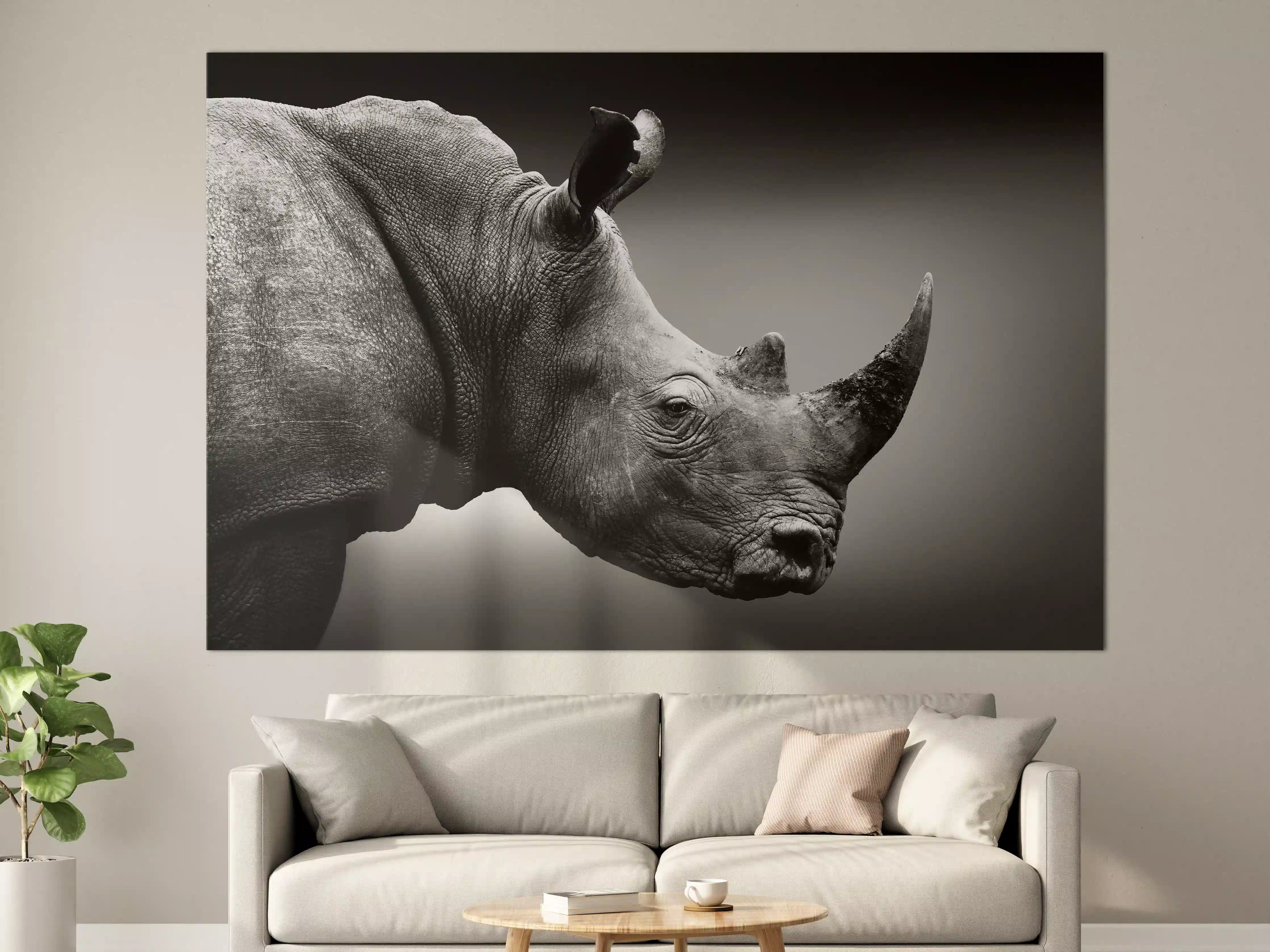 Große Wandbilder - Graues Licht-Nashorn