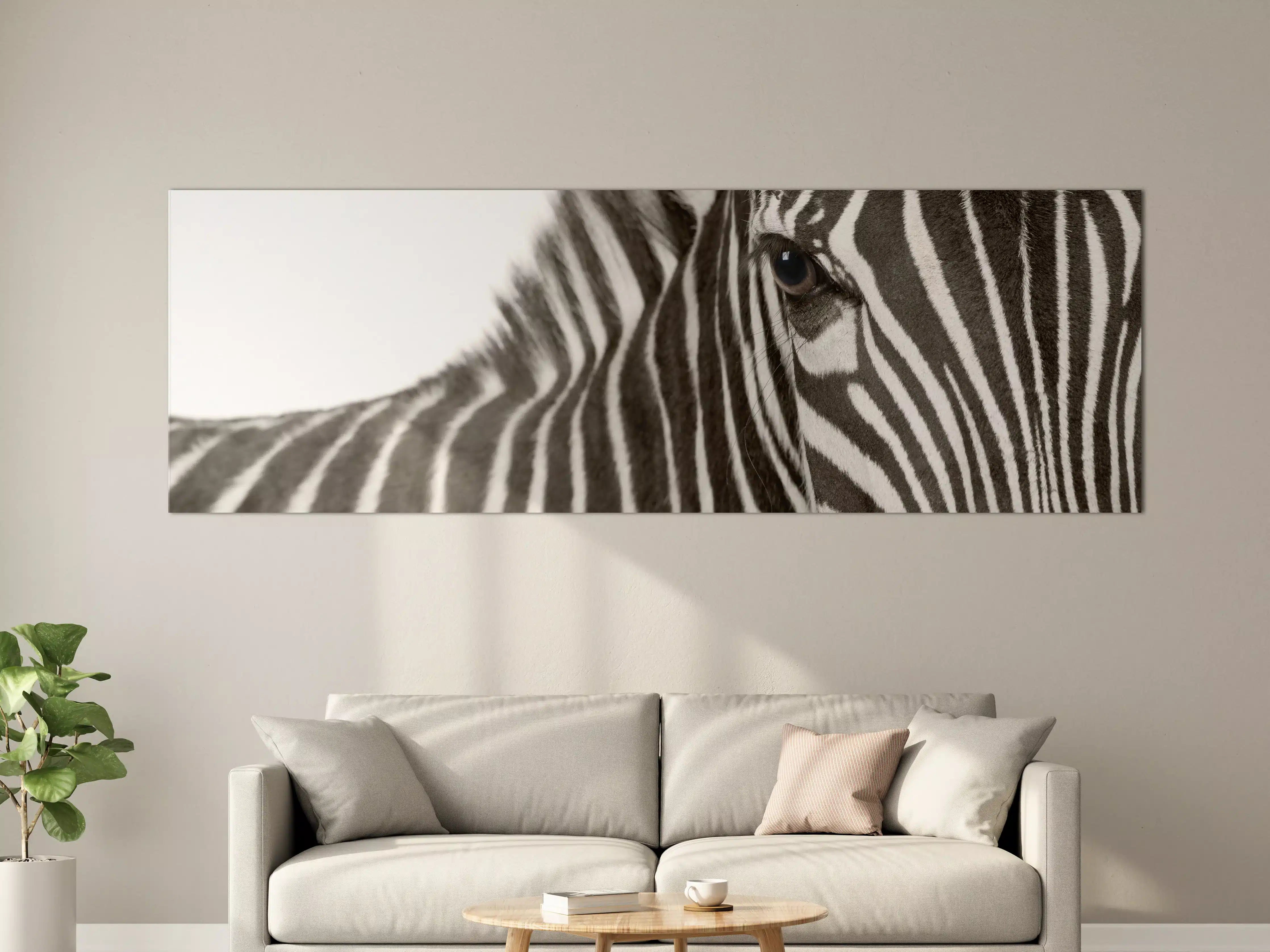 Große Wandbilder - Graues Streifenmuster Zebra