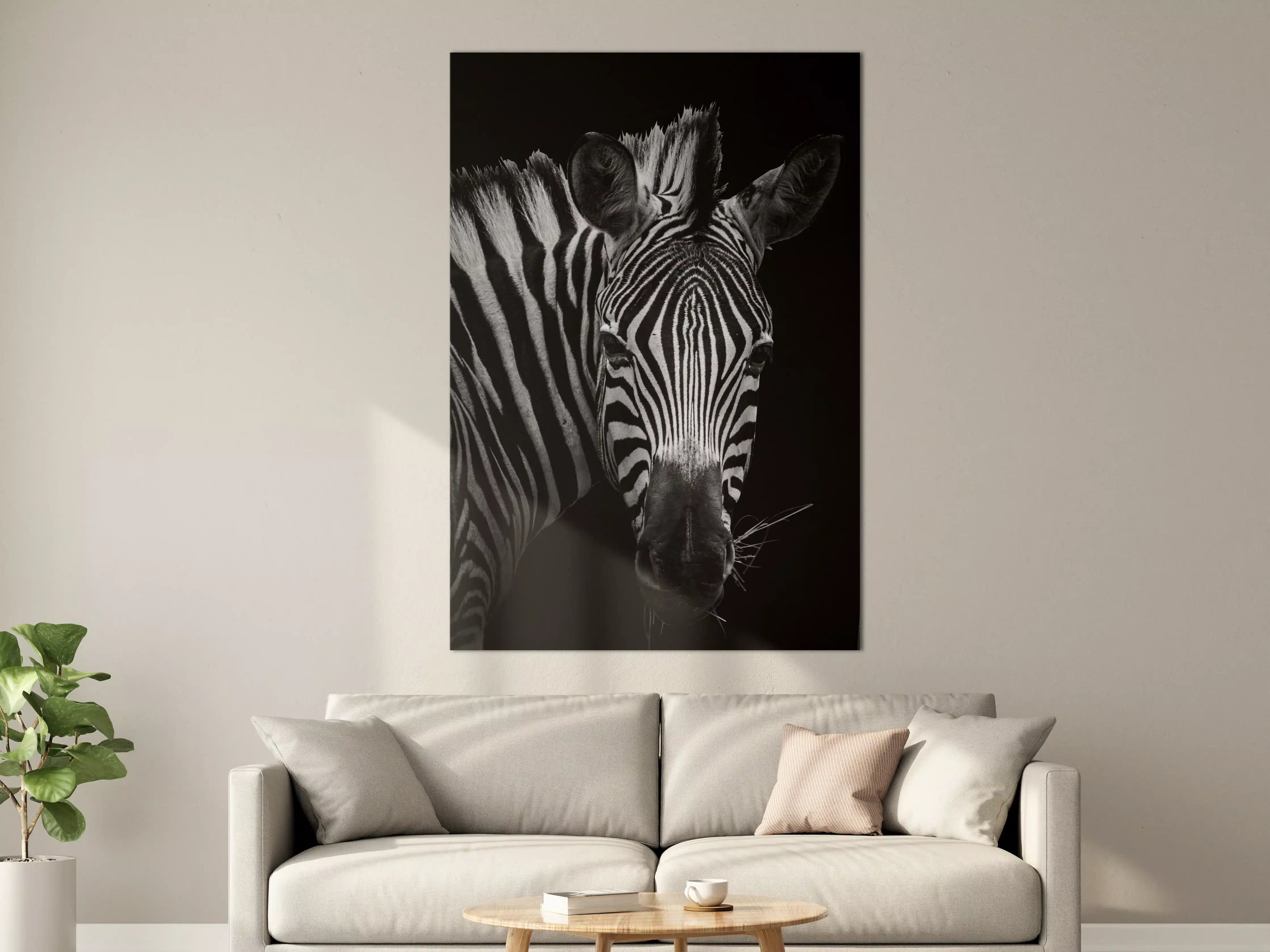 Große Wandbilder - Graustufen Zebra Portrait