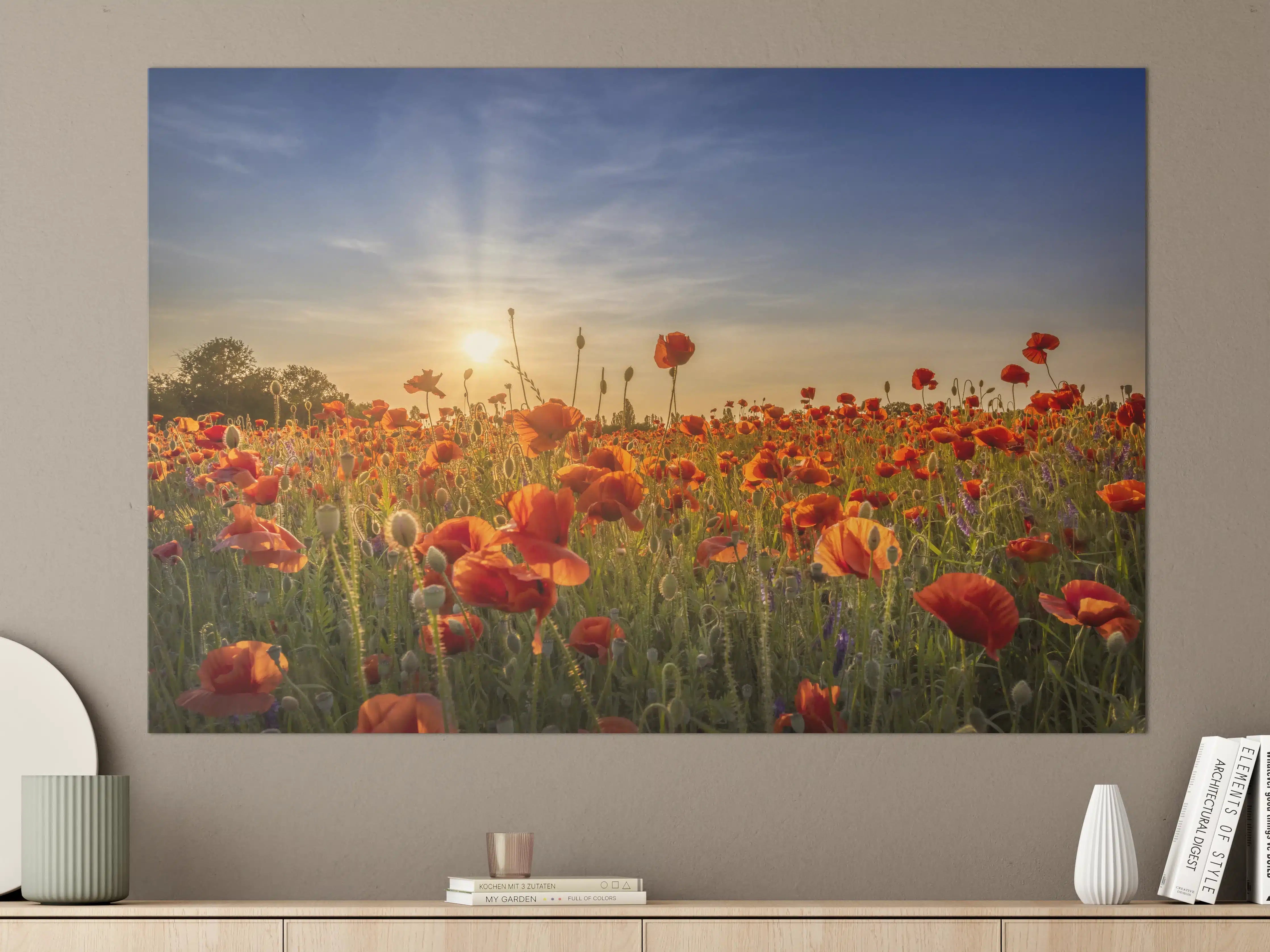 Große Wandbilder - Grauwe Mohnblüten im Abendlicht