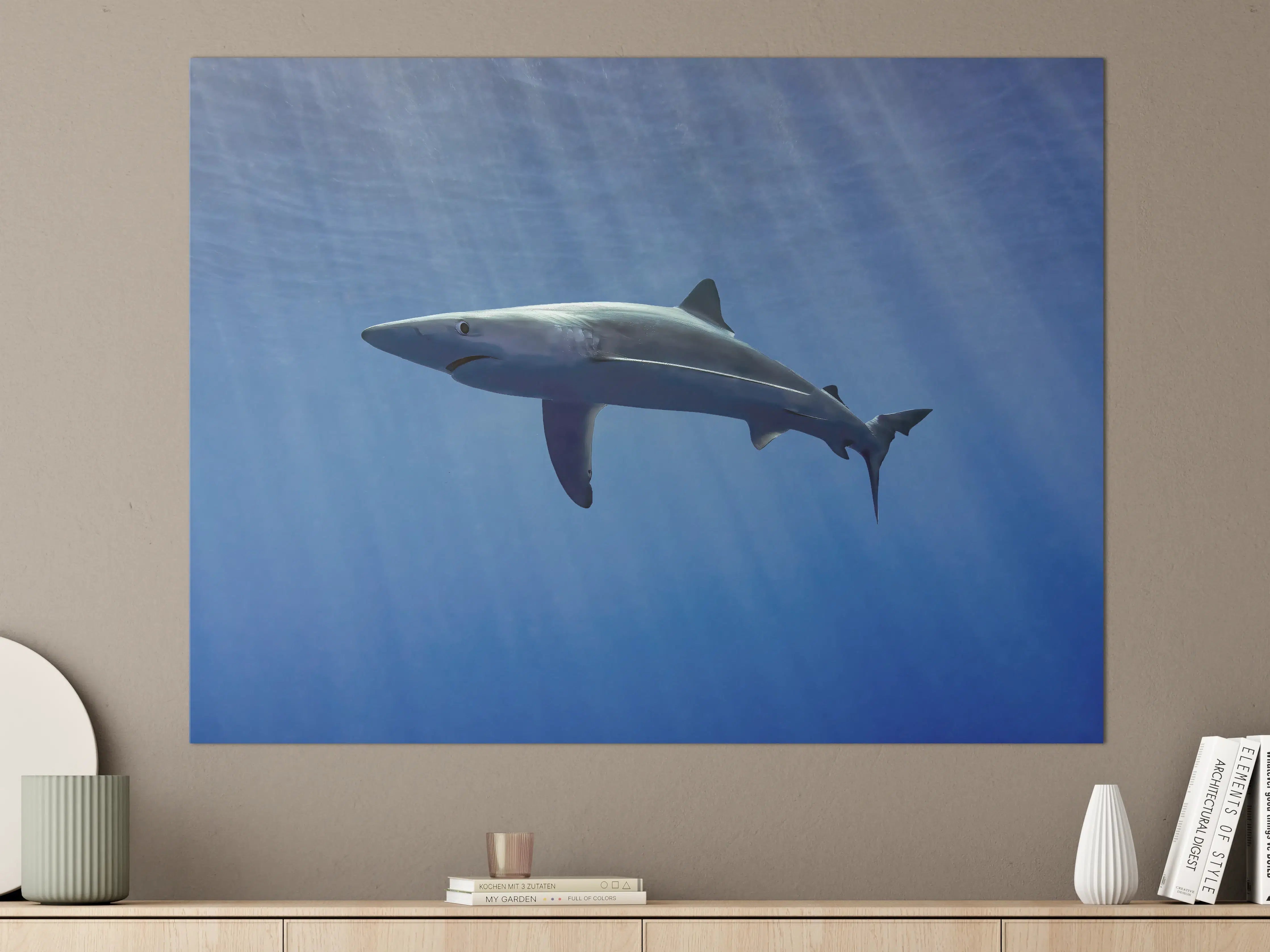 Große Wandbilder - Hai im Ozean unter Sonnenstrahlen