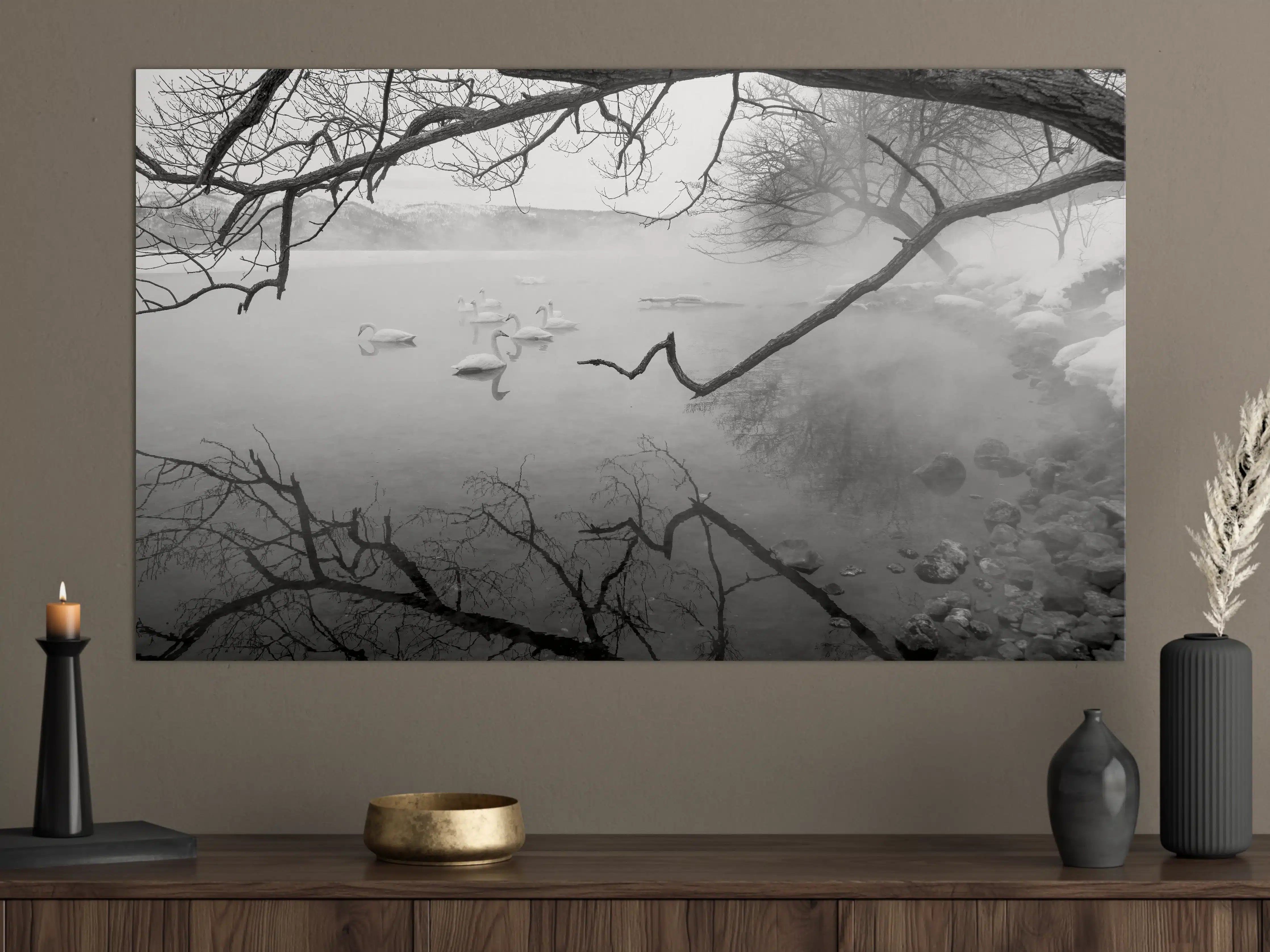 Große Wandbilder - Heiße Quelle mit Schwänen