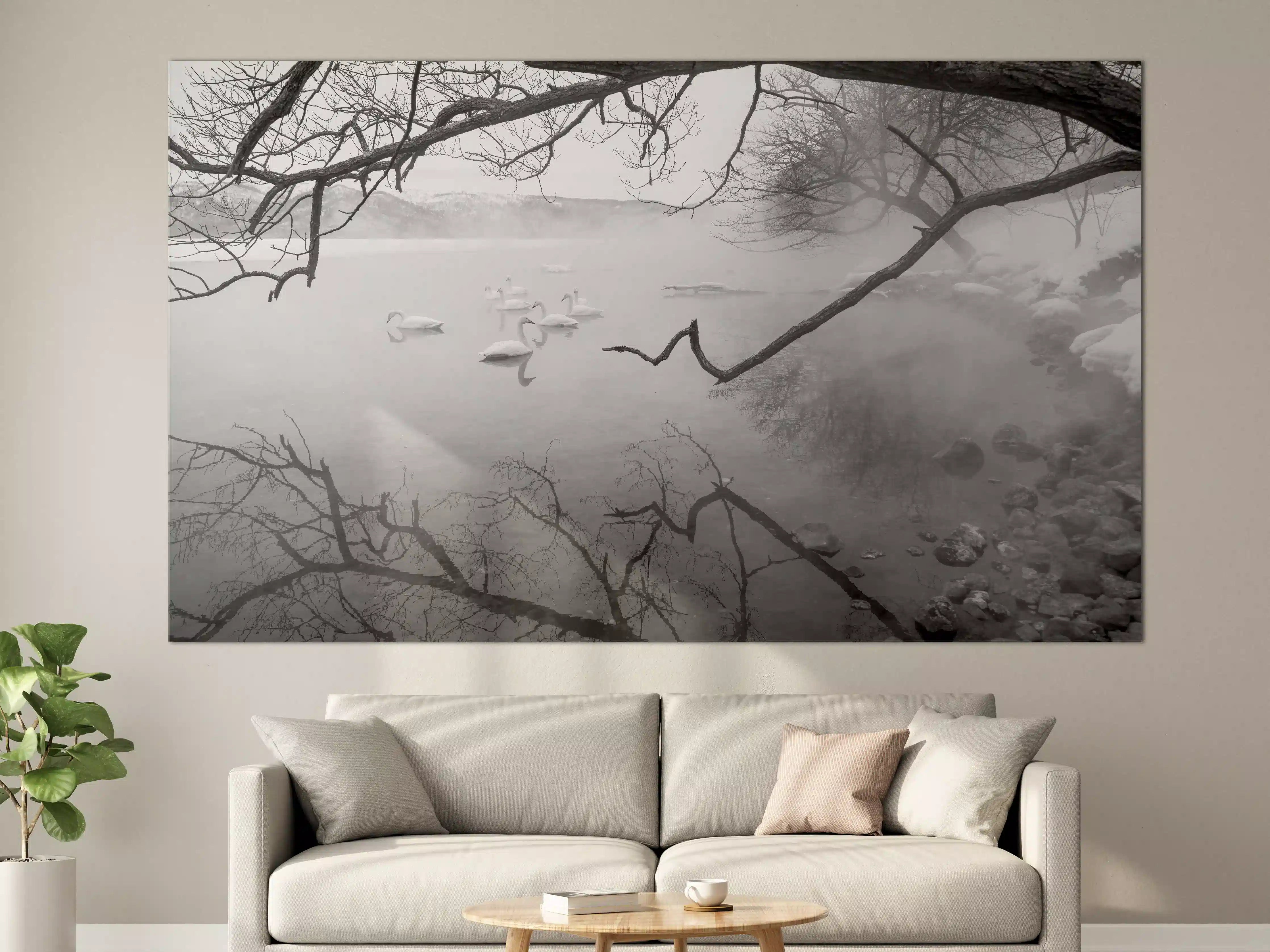 Große Wandbilder - Heiße Quelle mit Schwänen