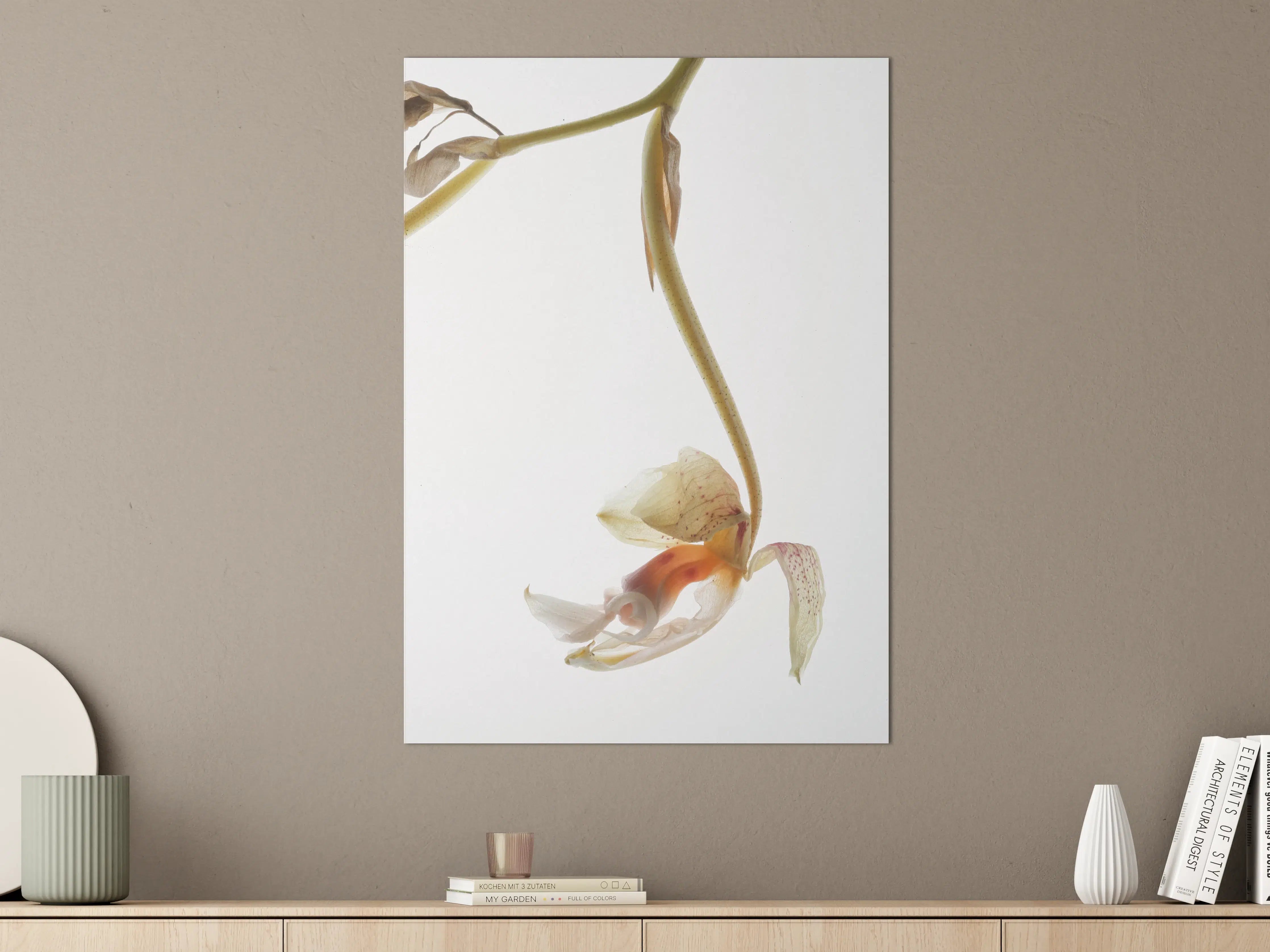 Große Wandbilder - Helle Blume - Nahaufnahme