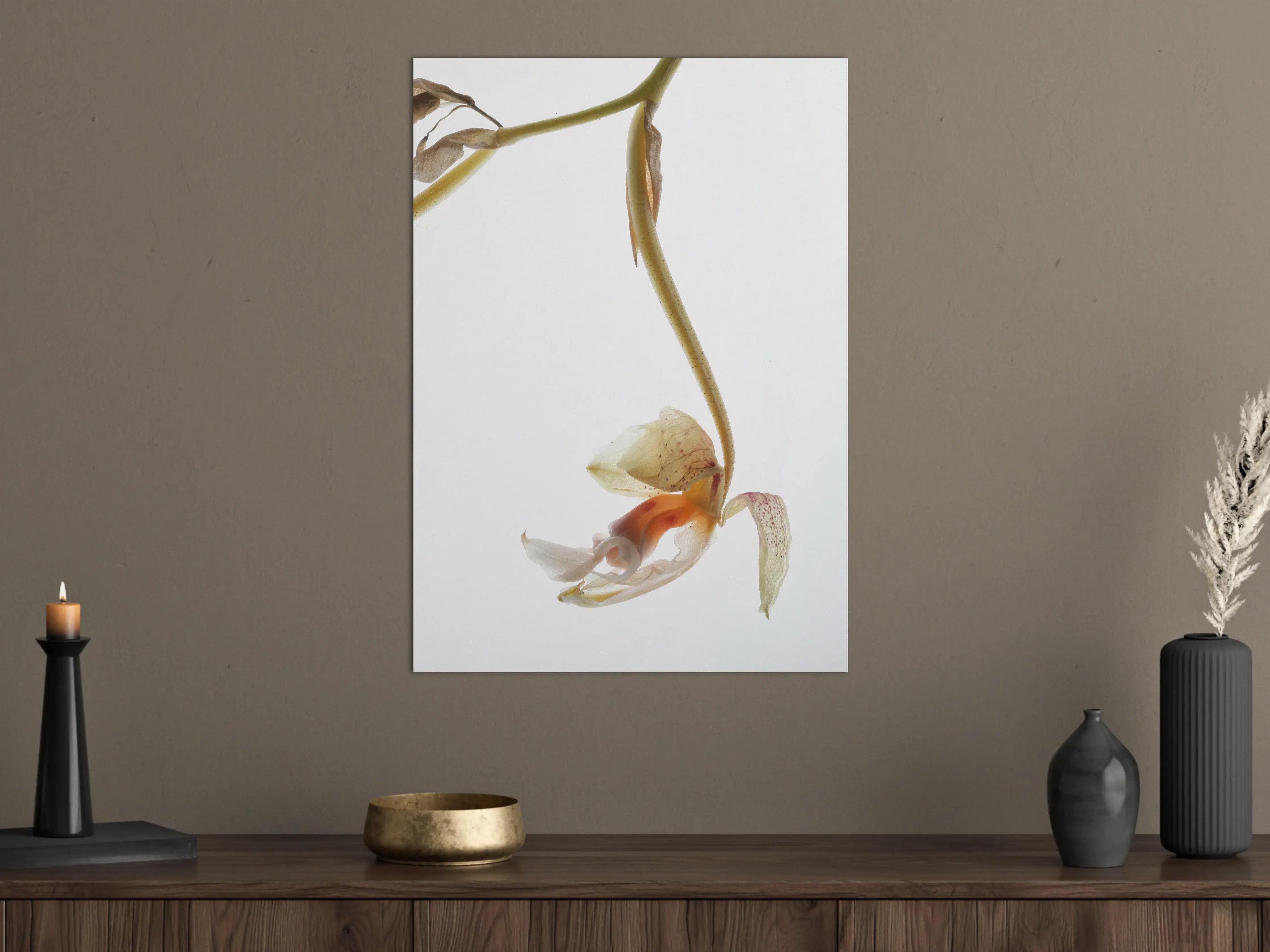 Große Wandbilder - Helle Blume - Nahaufnahme