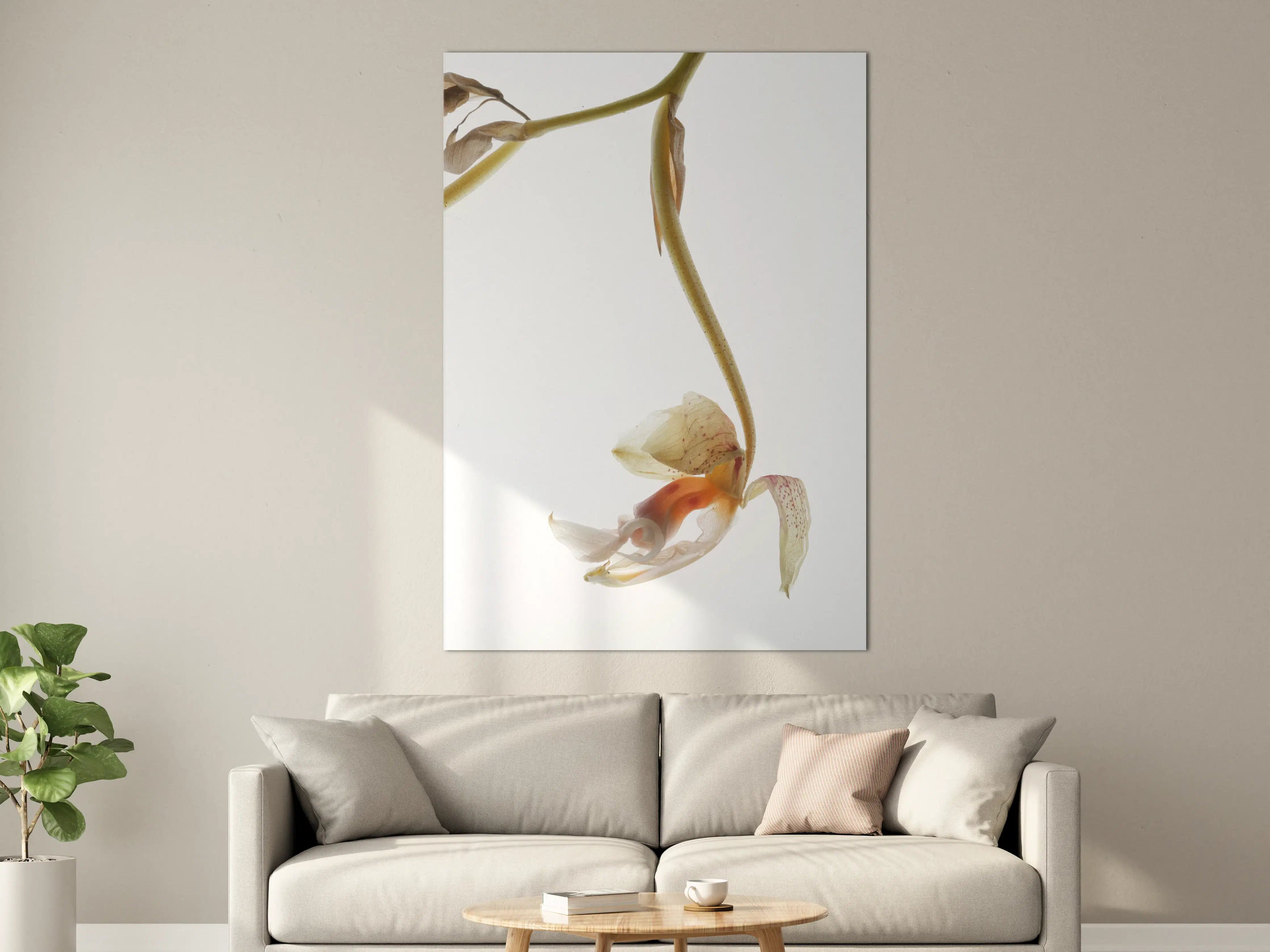 Große Wandbilder - Helle Blume - Nahaufnahme