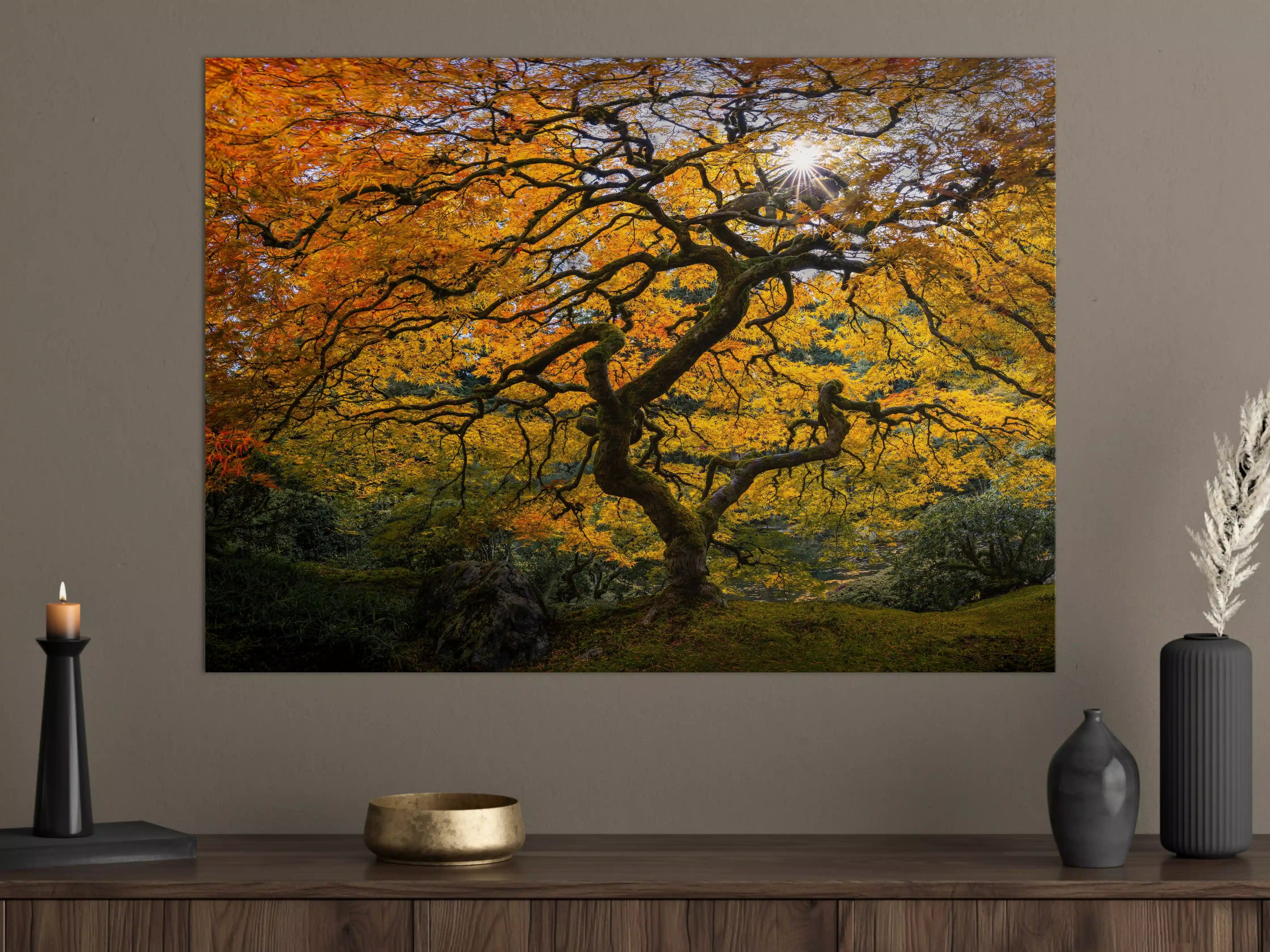 Große Wandbilder - Herbstlicher Baum in warmen Farbtönen