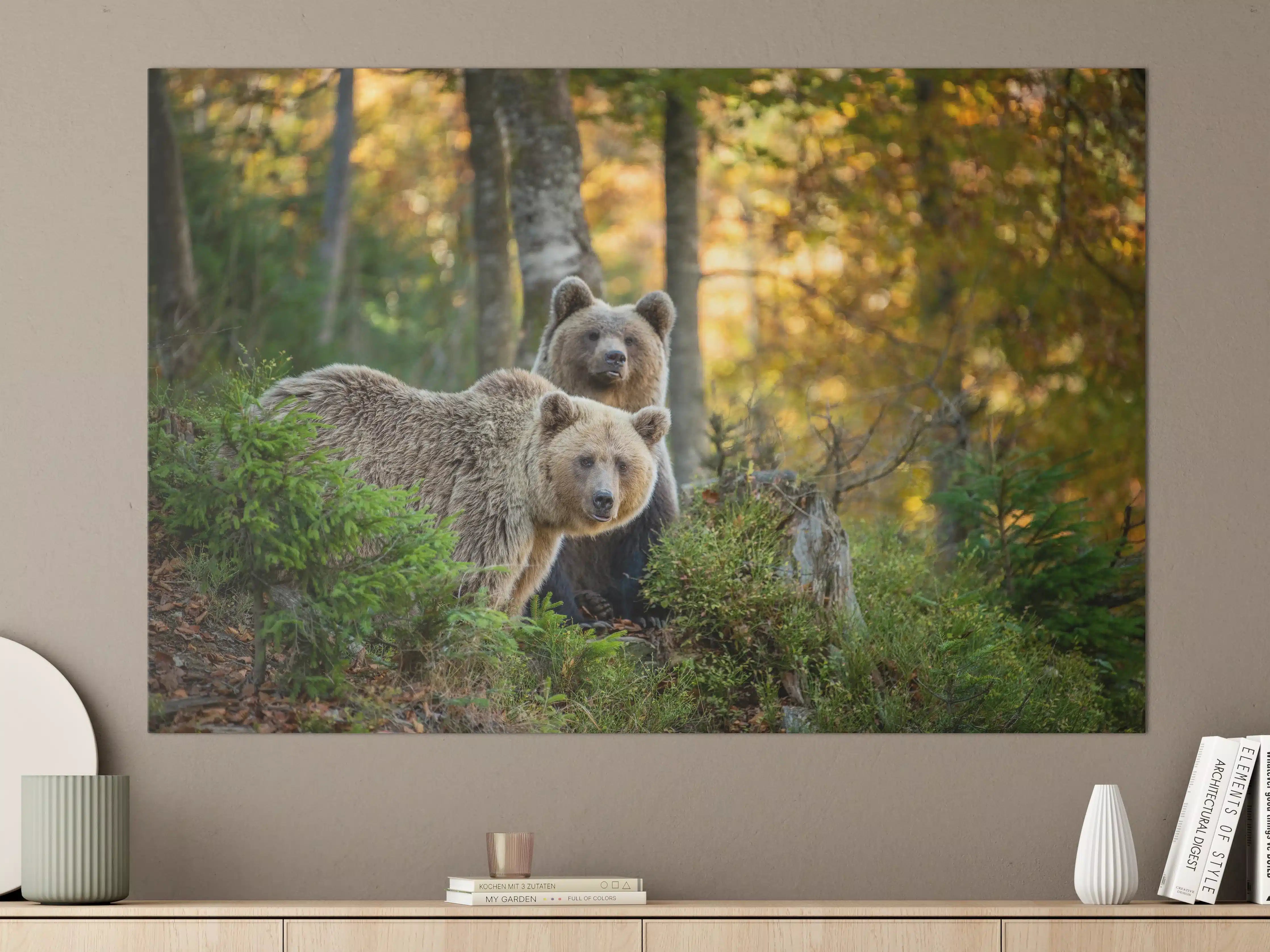 Große Wandbilder - Herbstlicher Braunbär im Wald