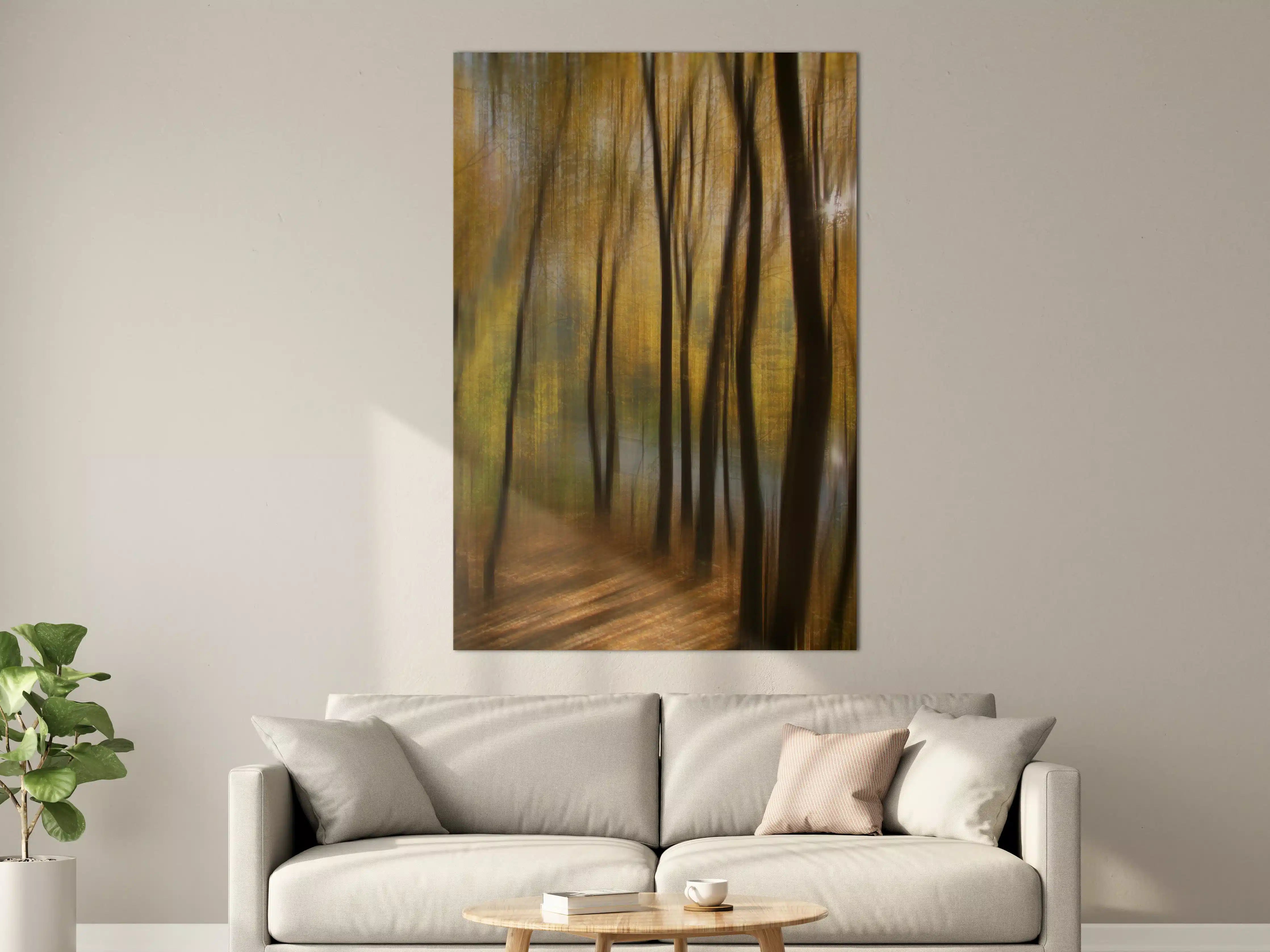 Große Wandbilder - Herbstlicher Wald im Goldlicht