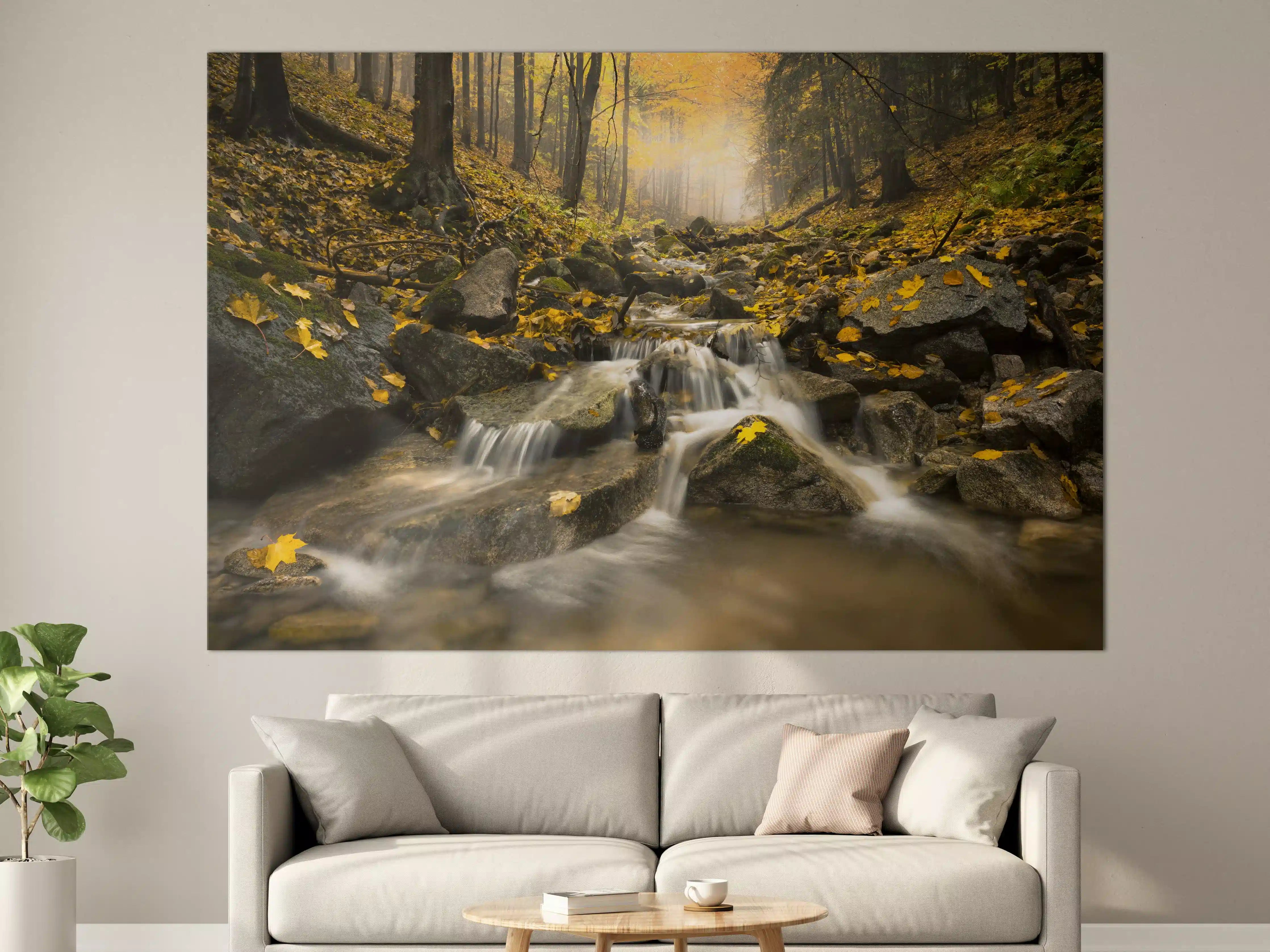 Große Wandbilder - Herbstlicher Wald mit Bach und goldenen Blättern