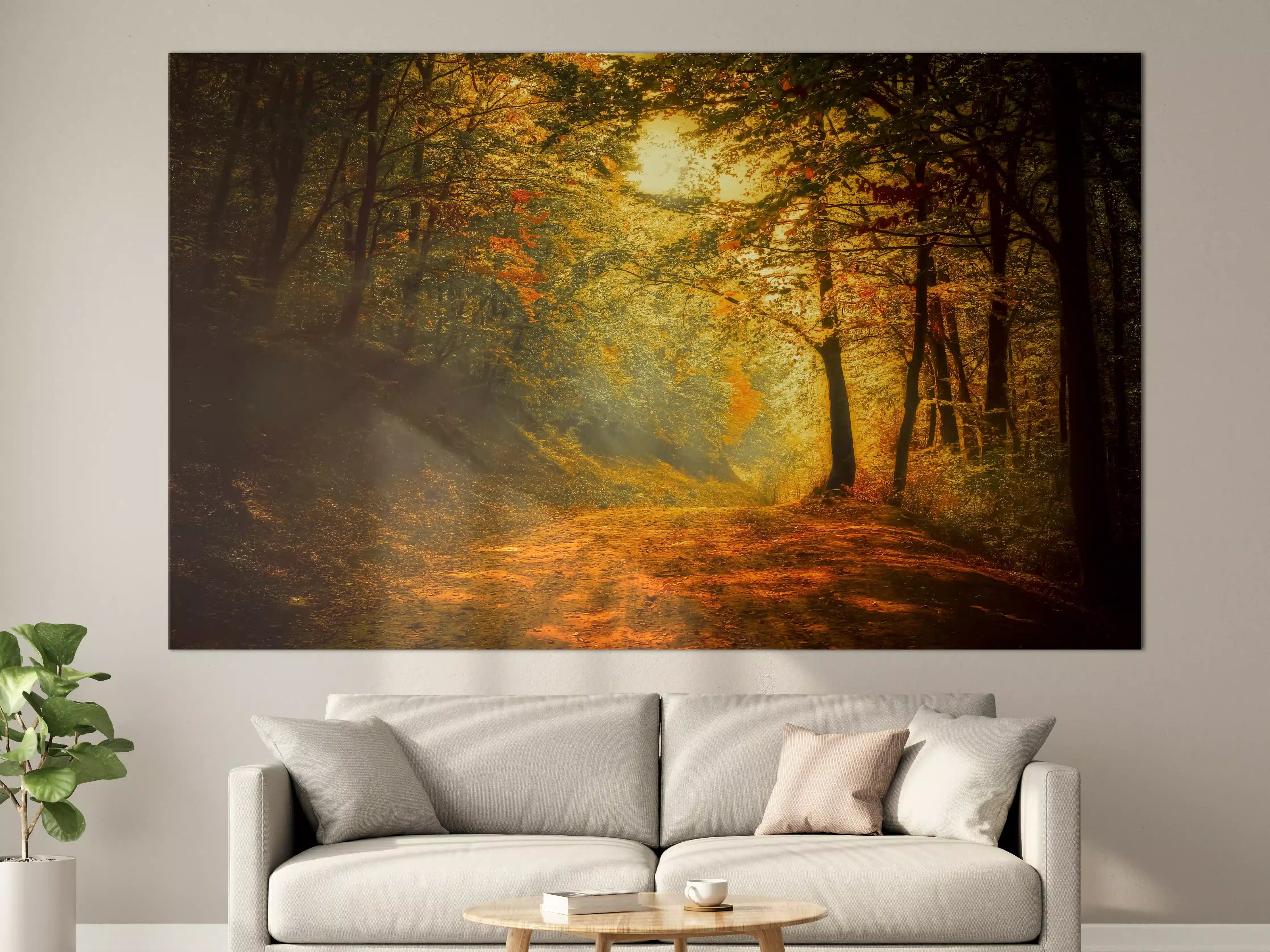 Große Wandbilder - Herbstlicher Waldweg bei Sonnenlicht