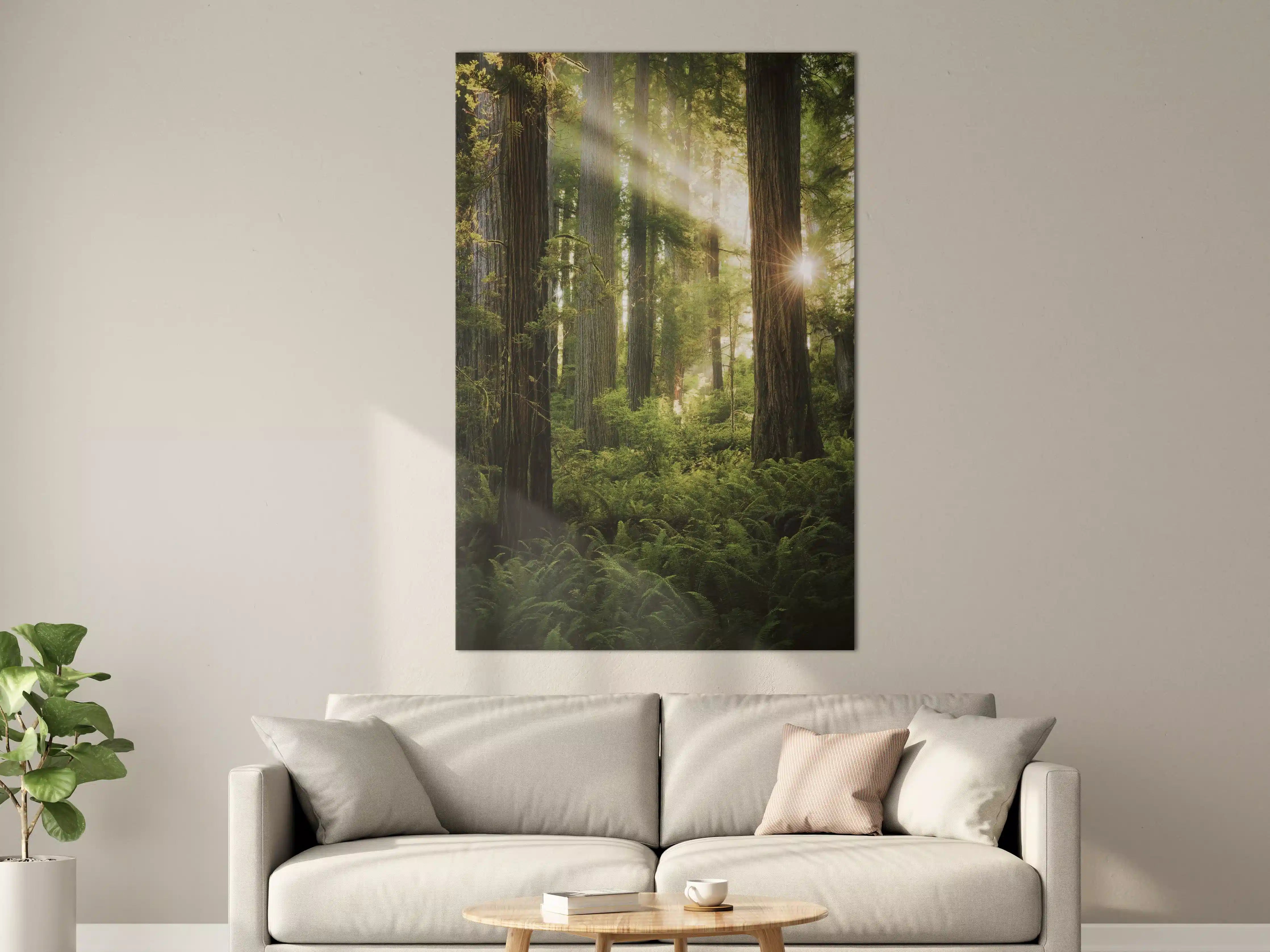 Große Wandbilder - Herbstwald Lichtspiel