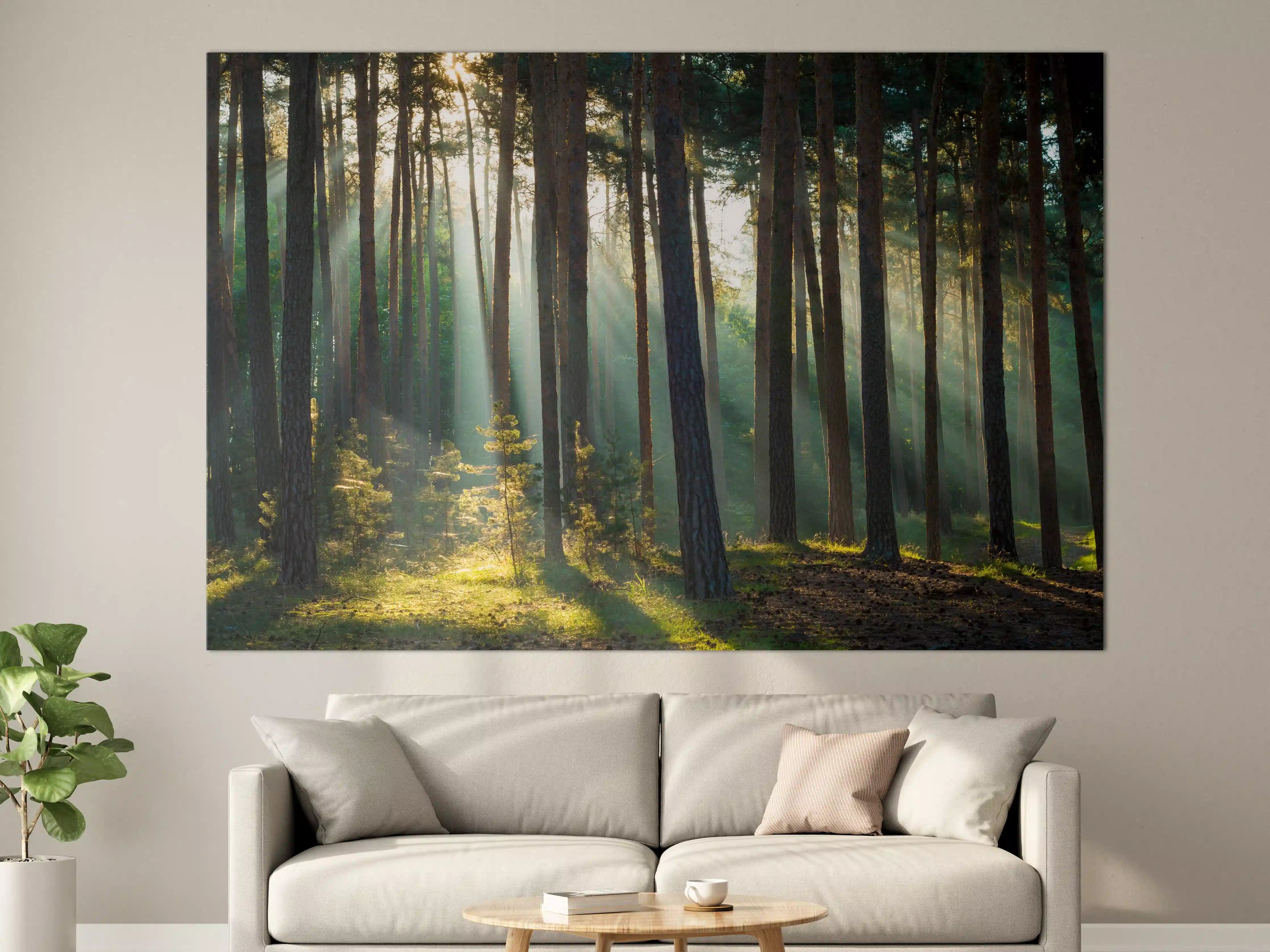 Große Wandbilder - Herbstwald mit Sonnenstrahlen