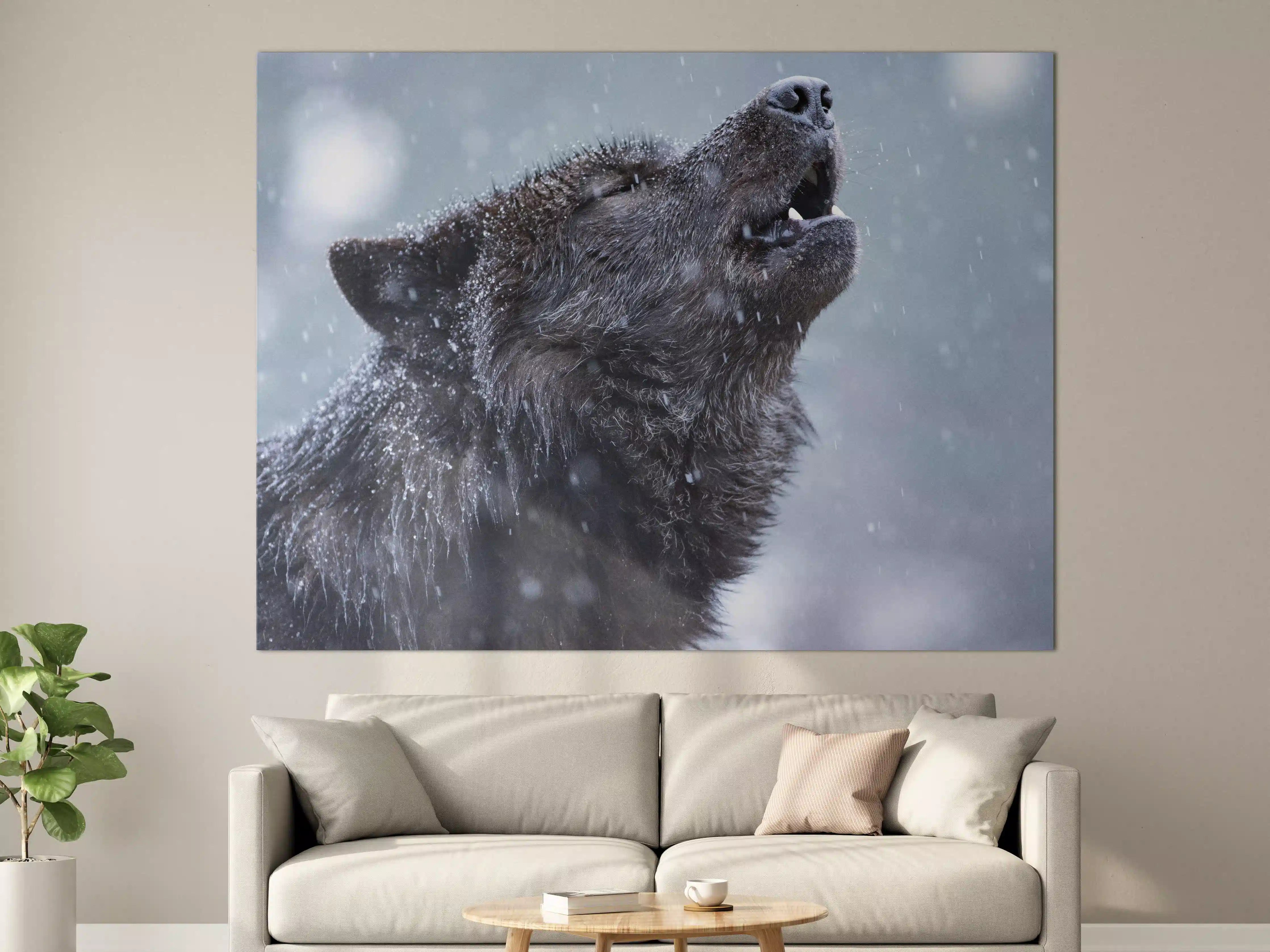 Große Wandbilder - Heulender Wolf im Winter