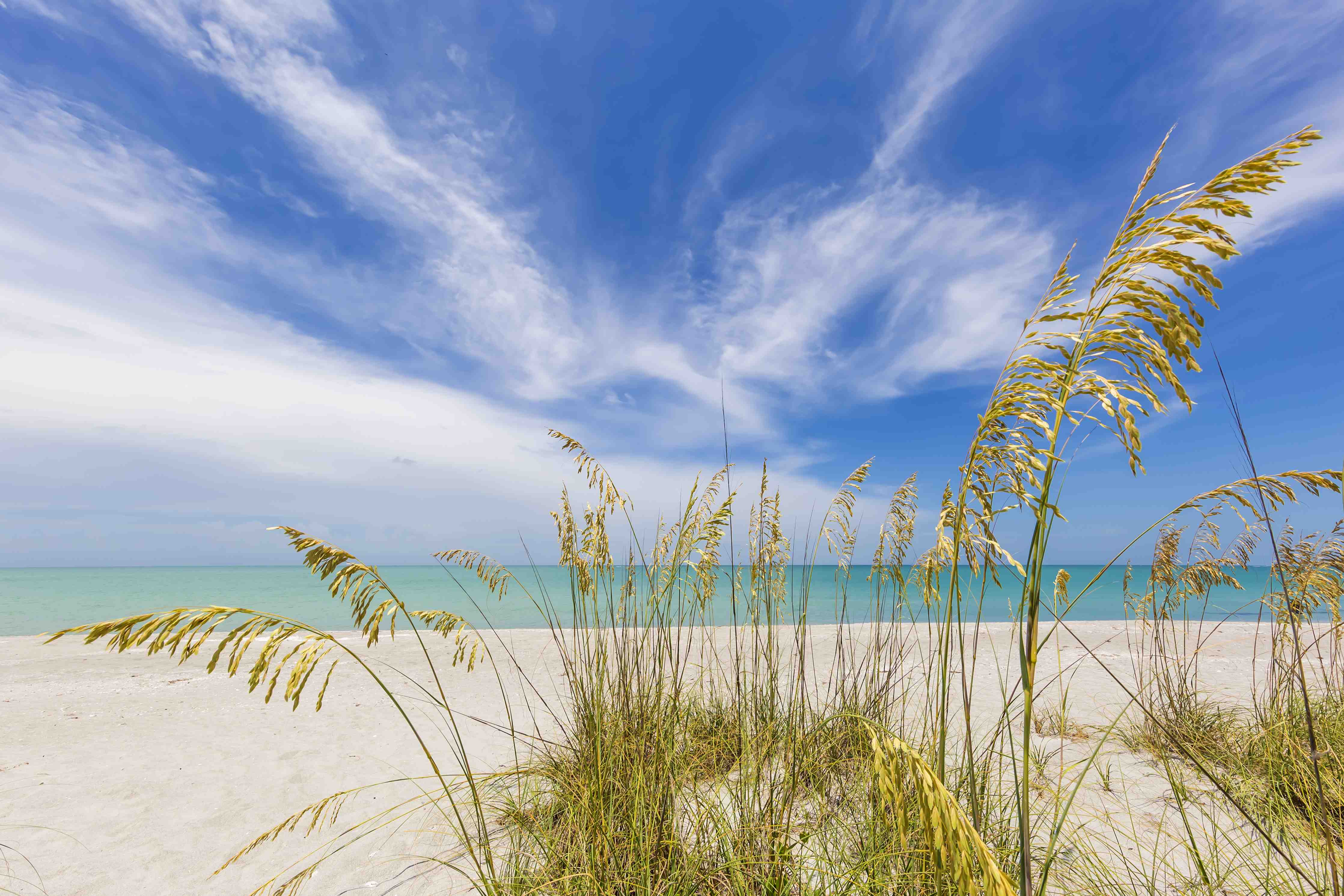 Große Wandbilder-Himmel über Strand mit Seegras