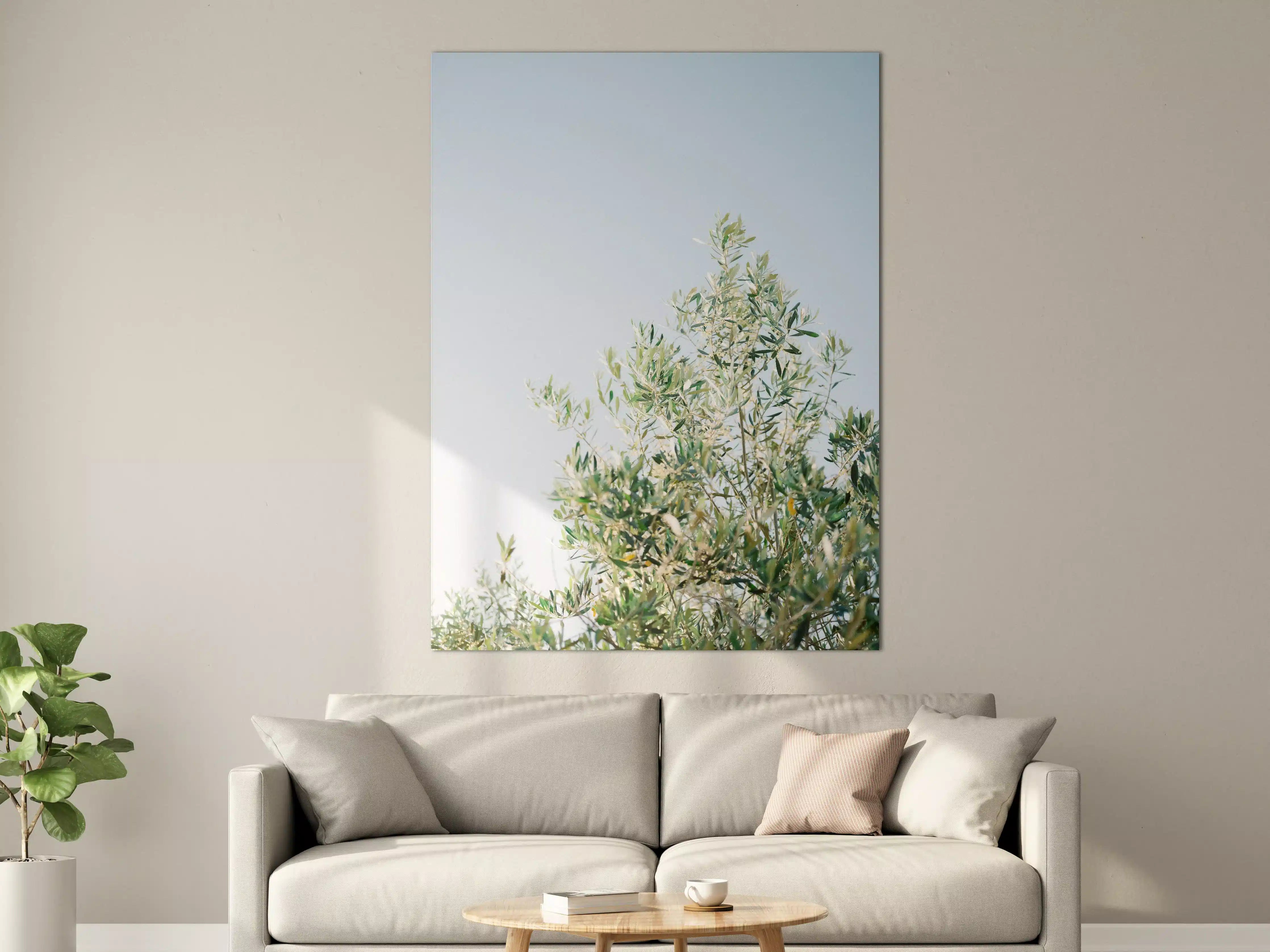 Große Wandbilder - Himmel und Baum im Sonnenlicht