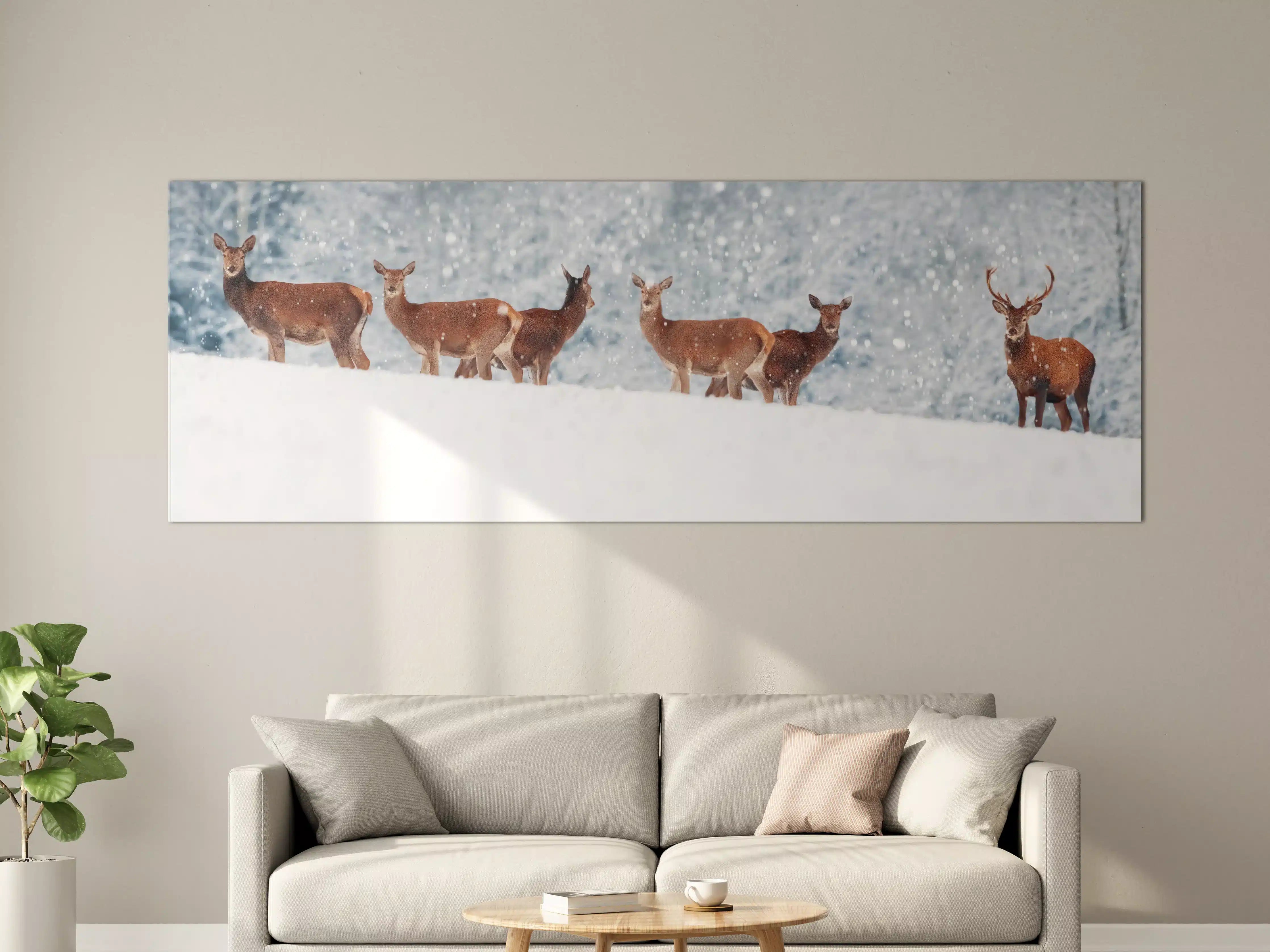 Große Wandbilder - Hirsche im weißen Winterpanorama
