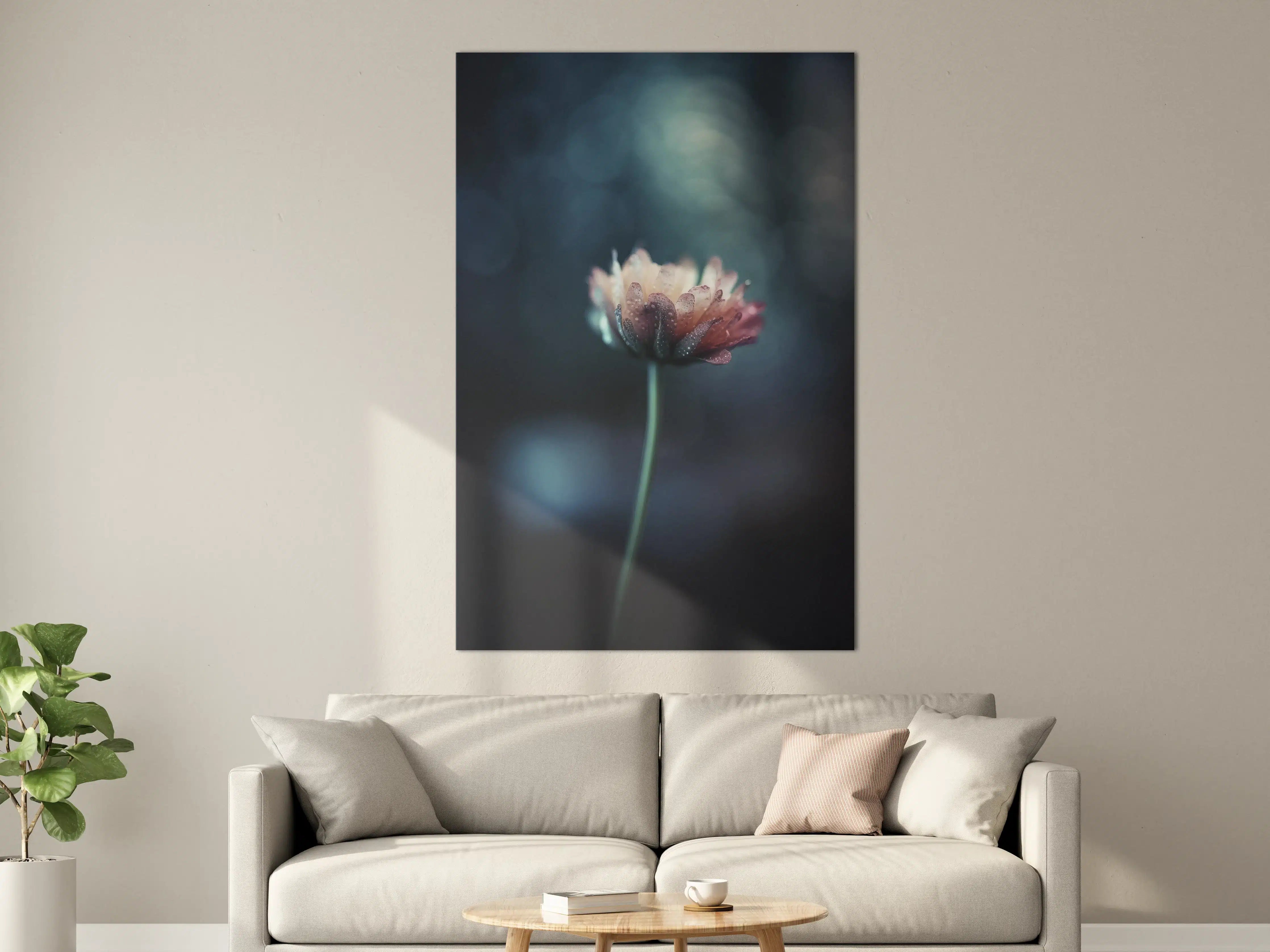 Große Wandbilder - Hochauflösende Blume - verschwommen