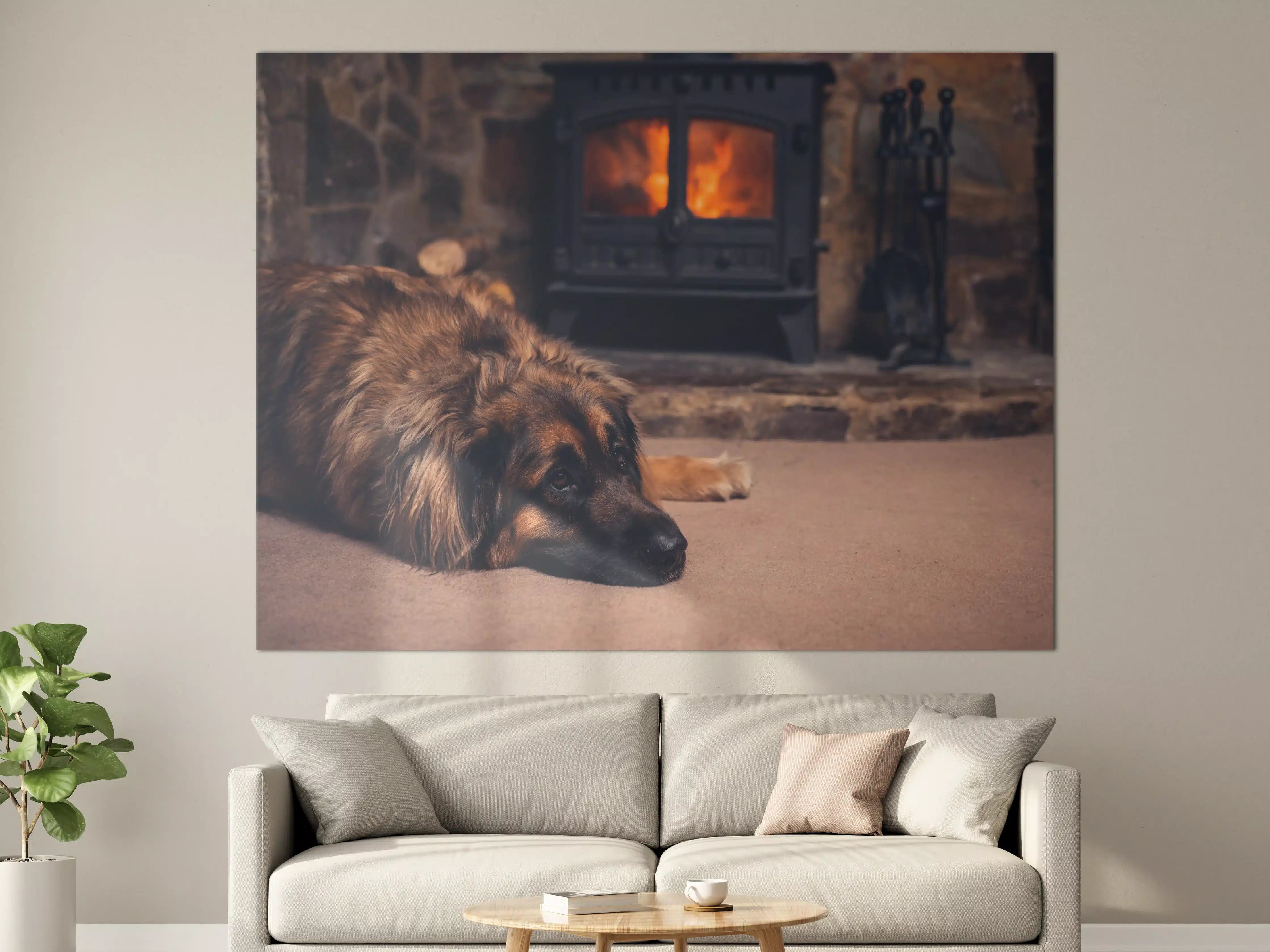 Große Wandbilder - Hund entspannt am Feuer