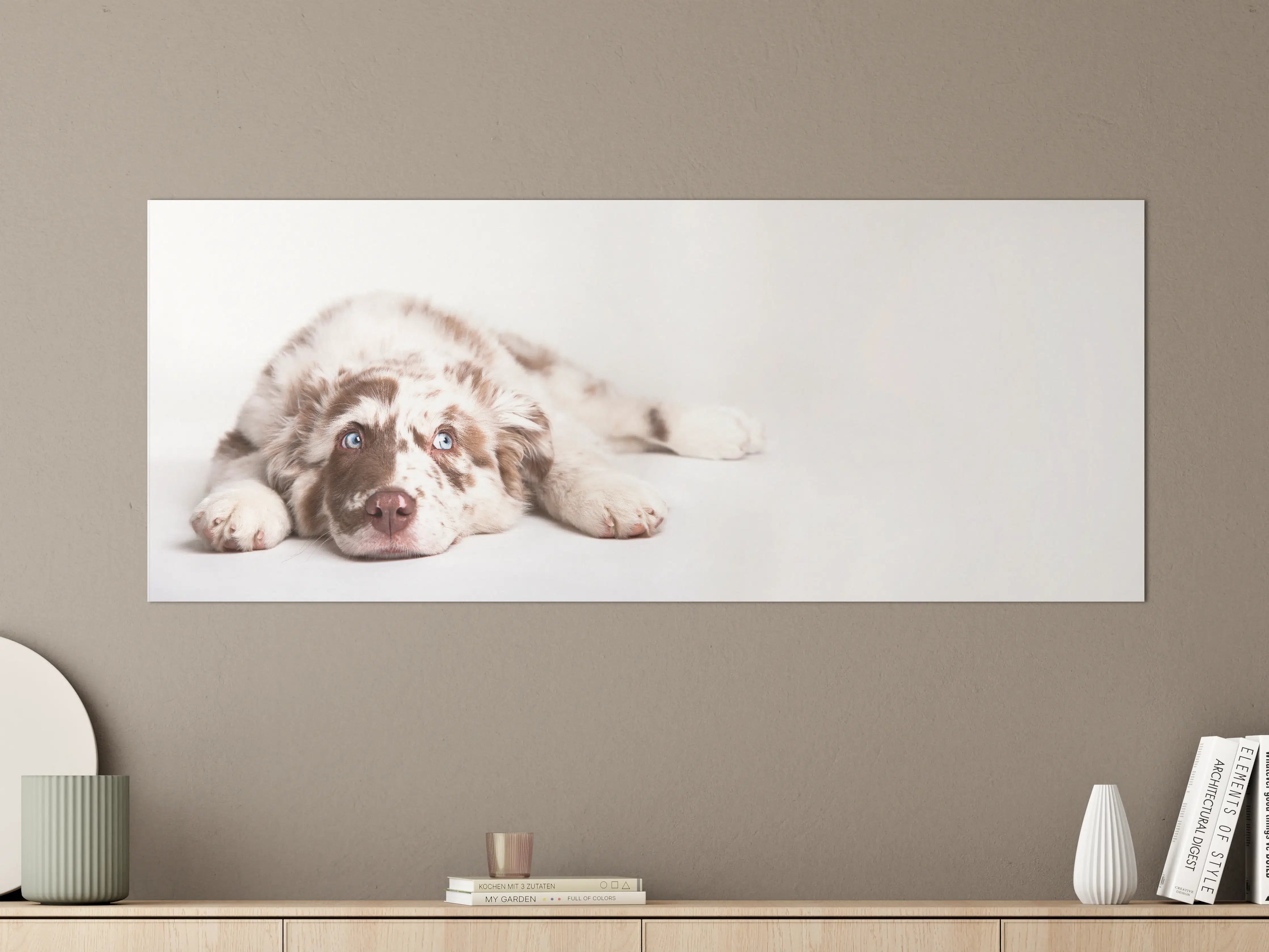 Große Wandbilder - Hunde Portrait - Australian Shepherd