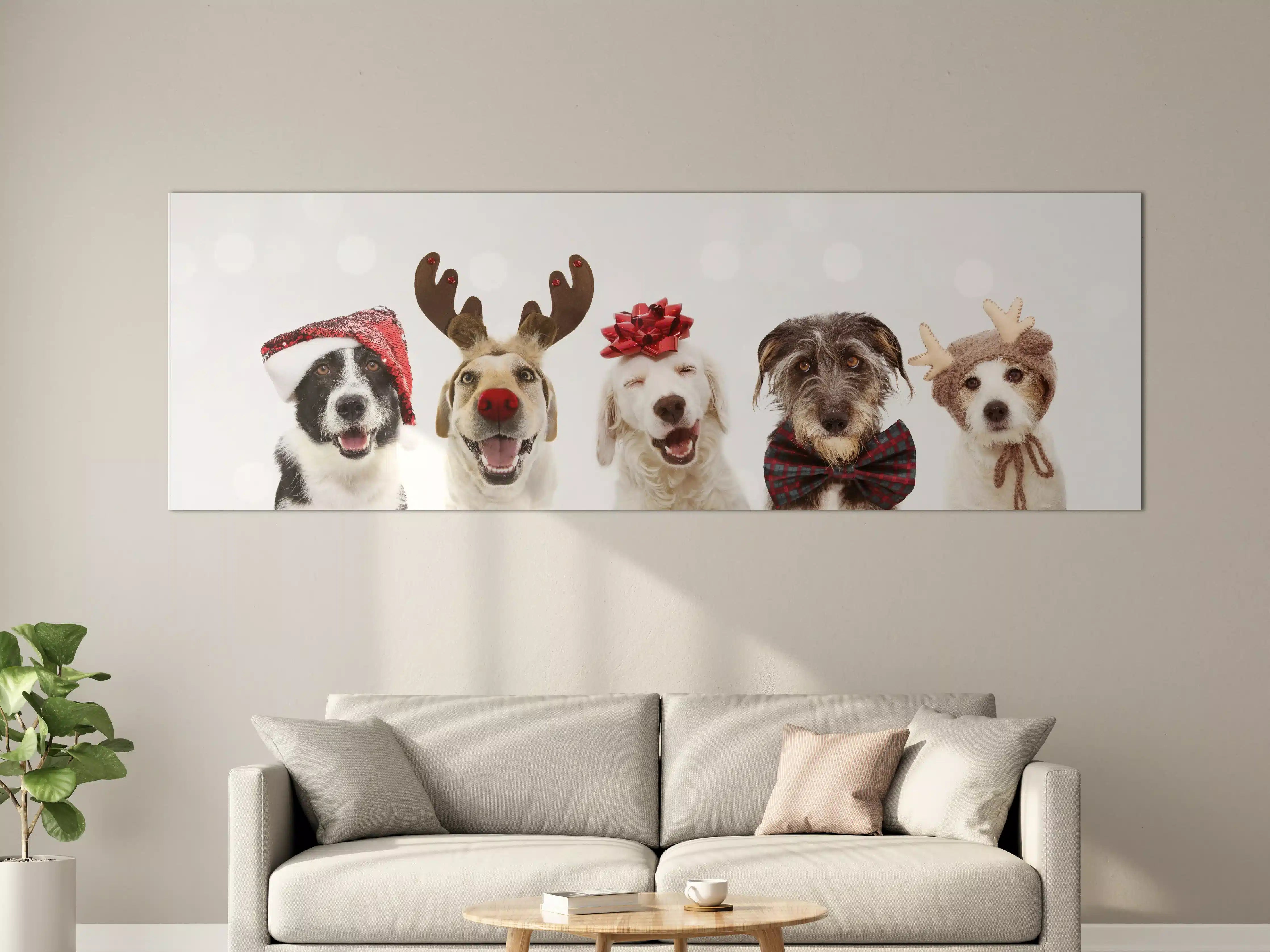 Große Wandbilder - Hunde feiern Weihnachten