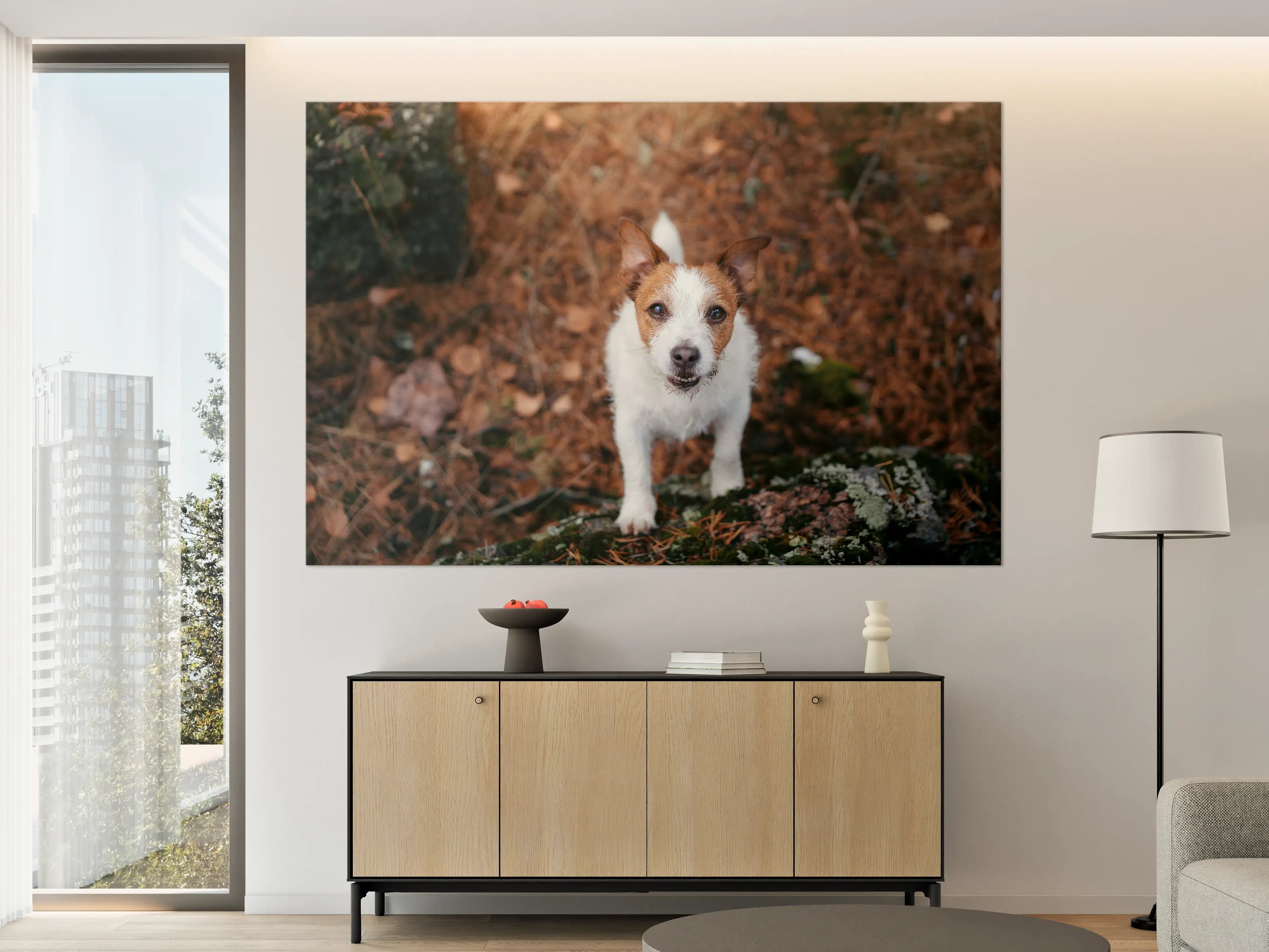 Große Wandbilder - Jack Russell im herbstlichen Park