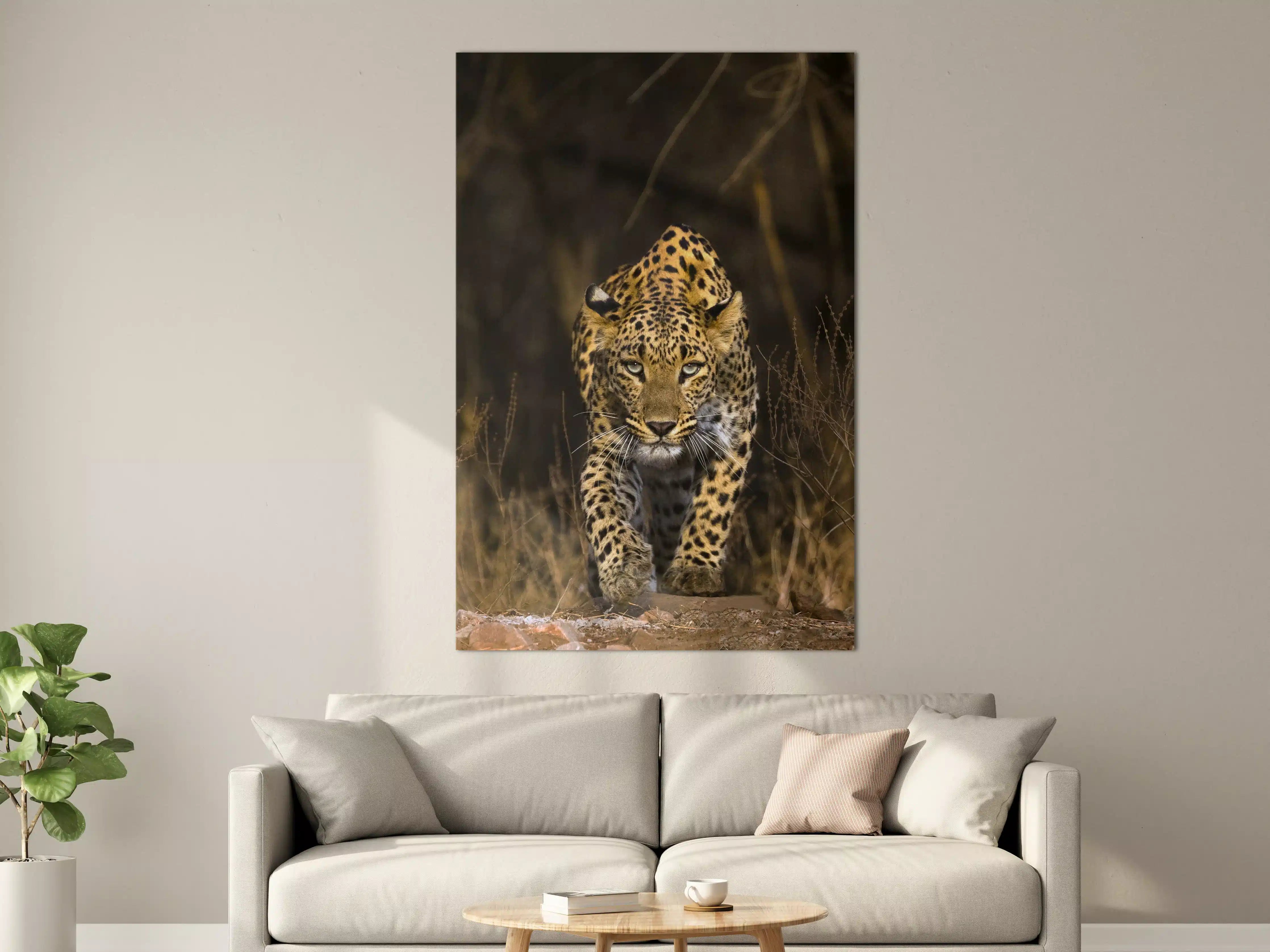 Große Wandbilder - Jaguar im Dschungel
