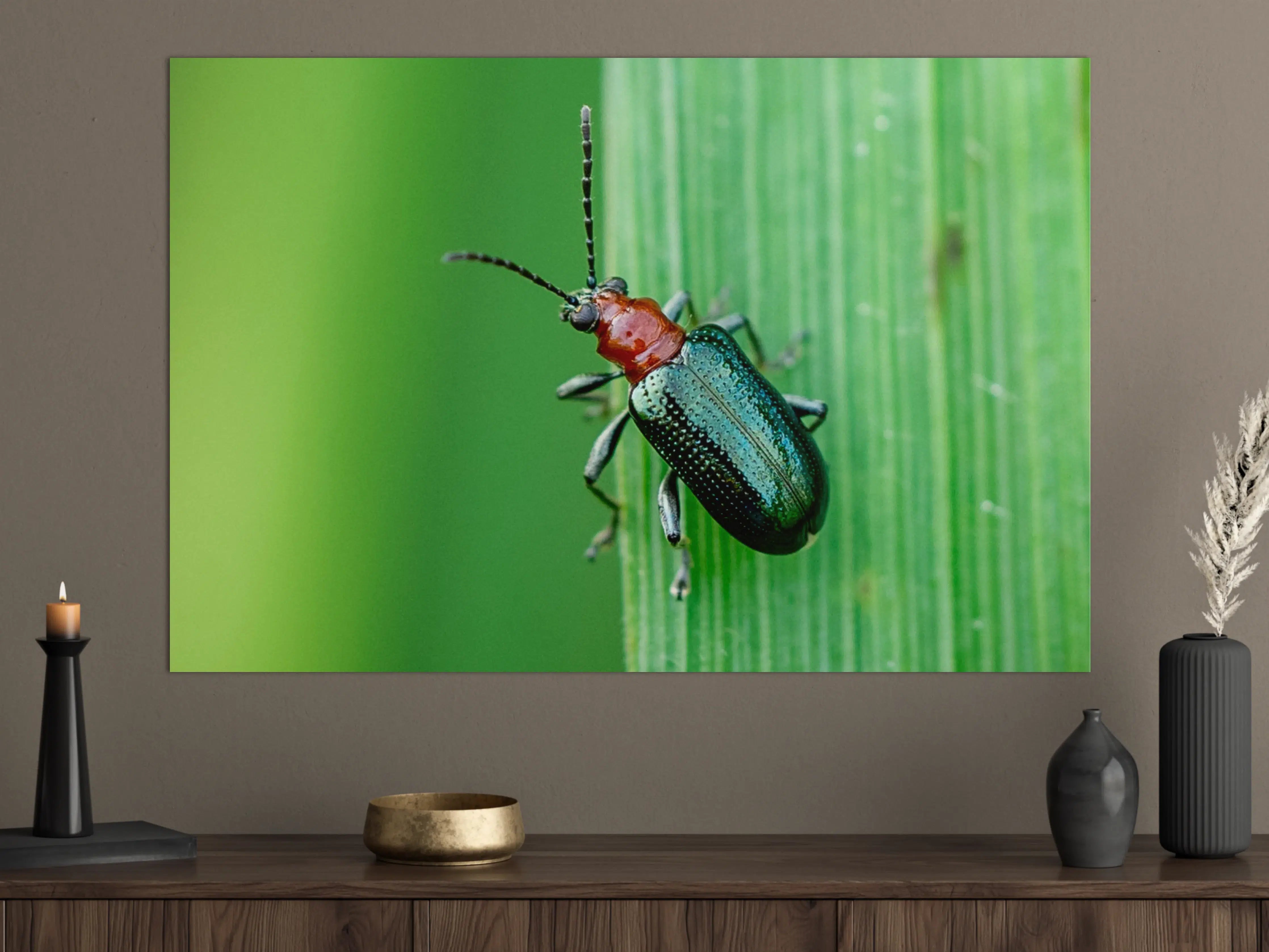 Große Wandbilder - Käfer auf Blatt