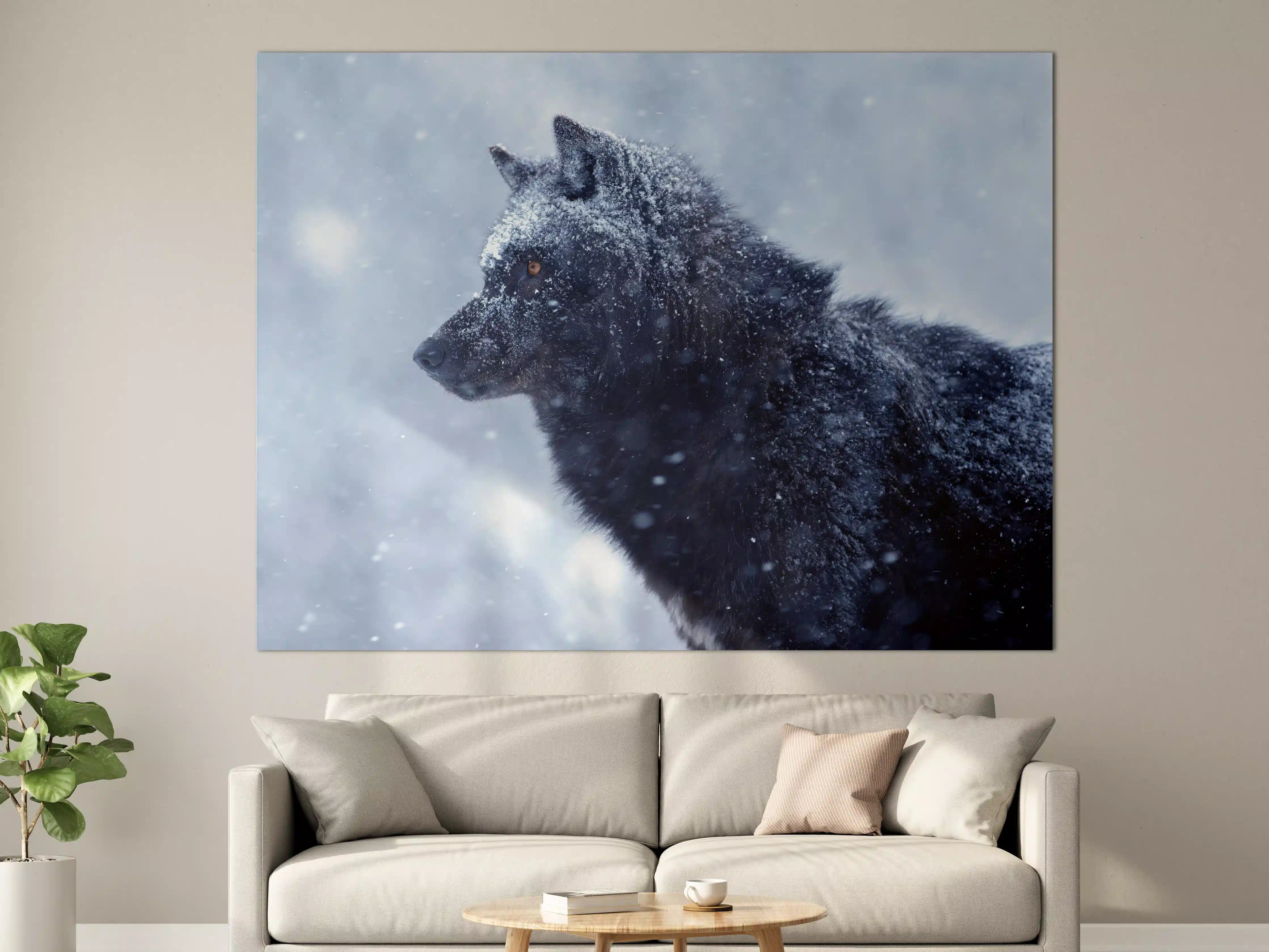 Große Wandbilder - Kanadischer Wolf im Schneefall