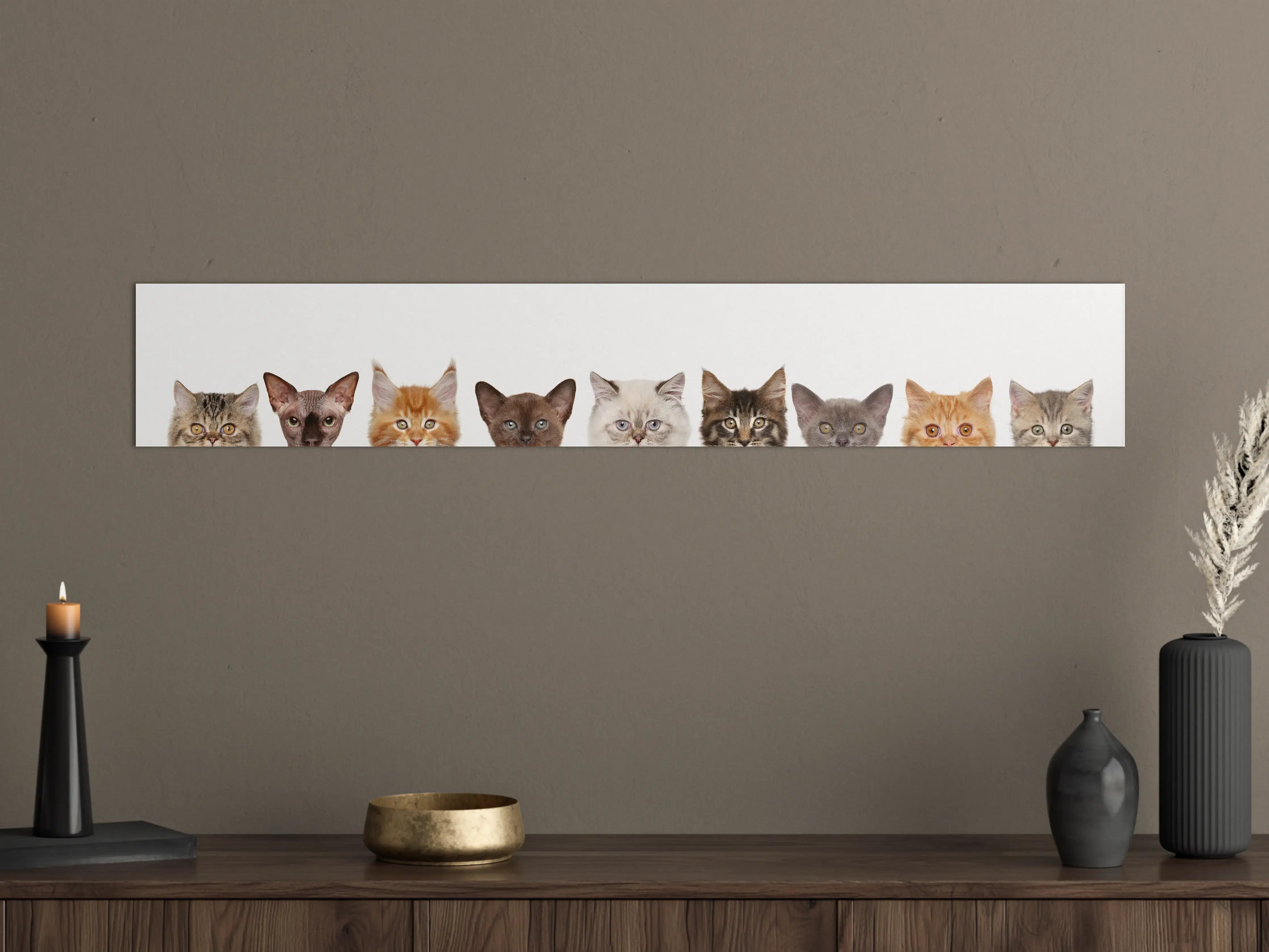 Große Wandbilder - Katzen-Kopf-Reihe in Weiß-Grau