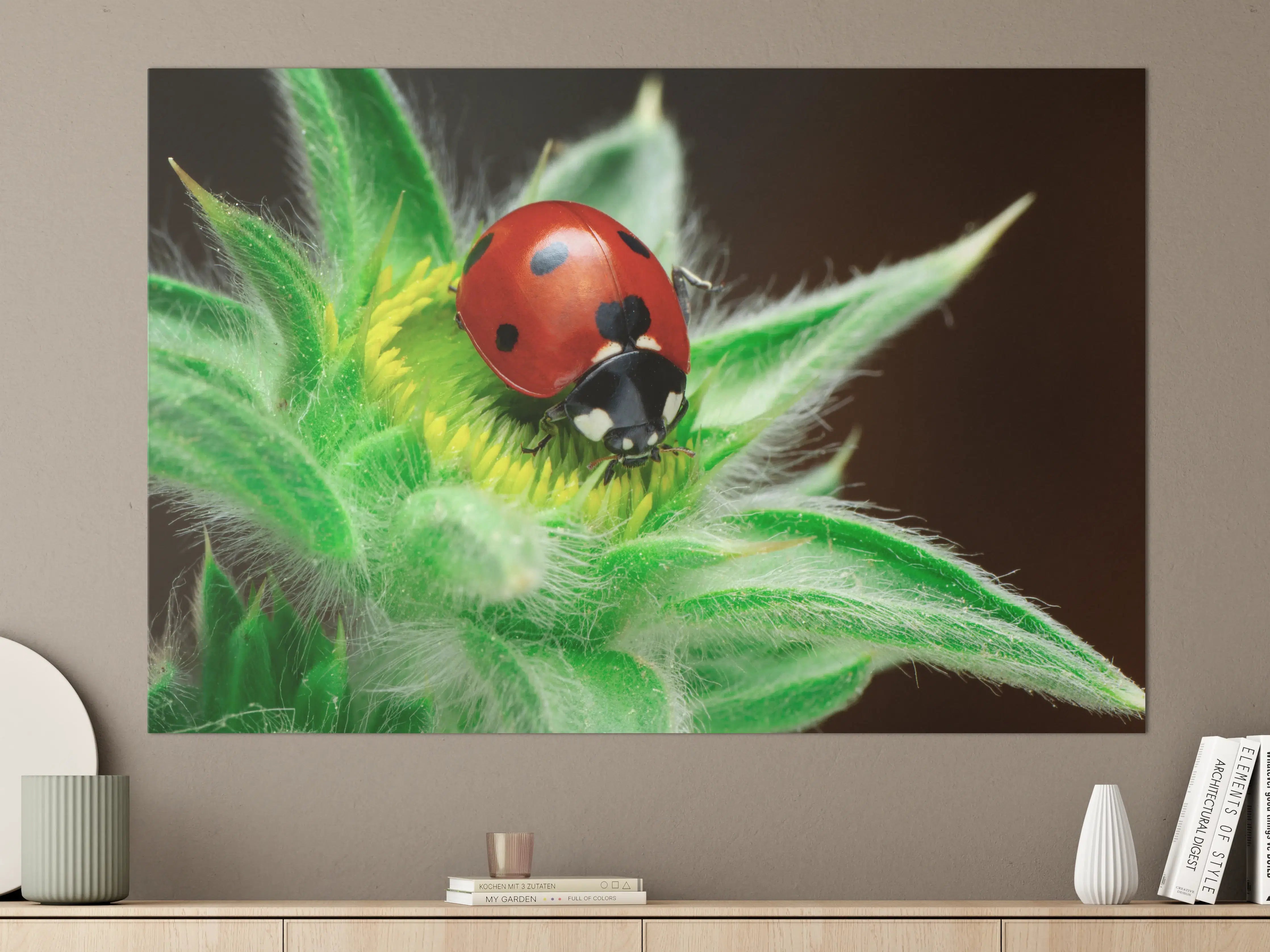 Große Wandbilder - Kaum wahrnehmende Marienkäfer auf fuzzy Blüte