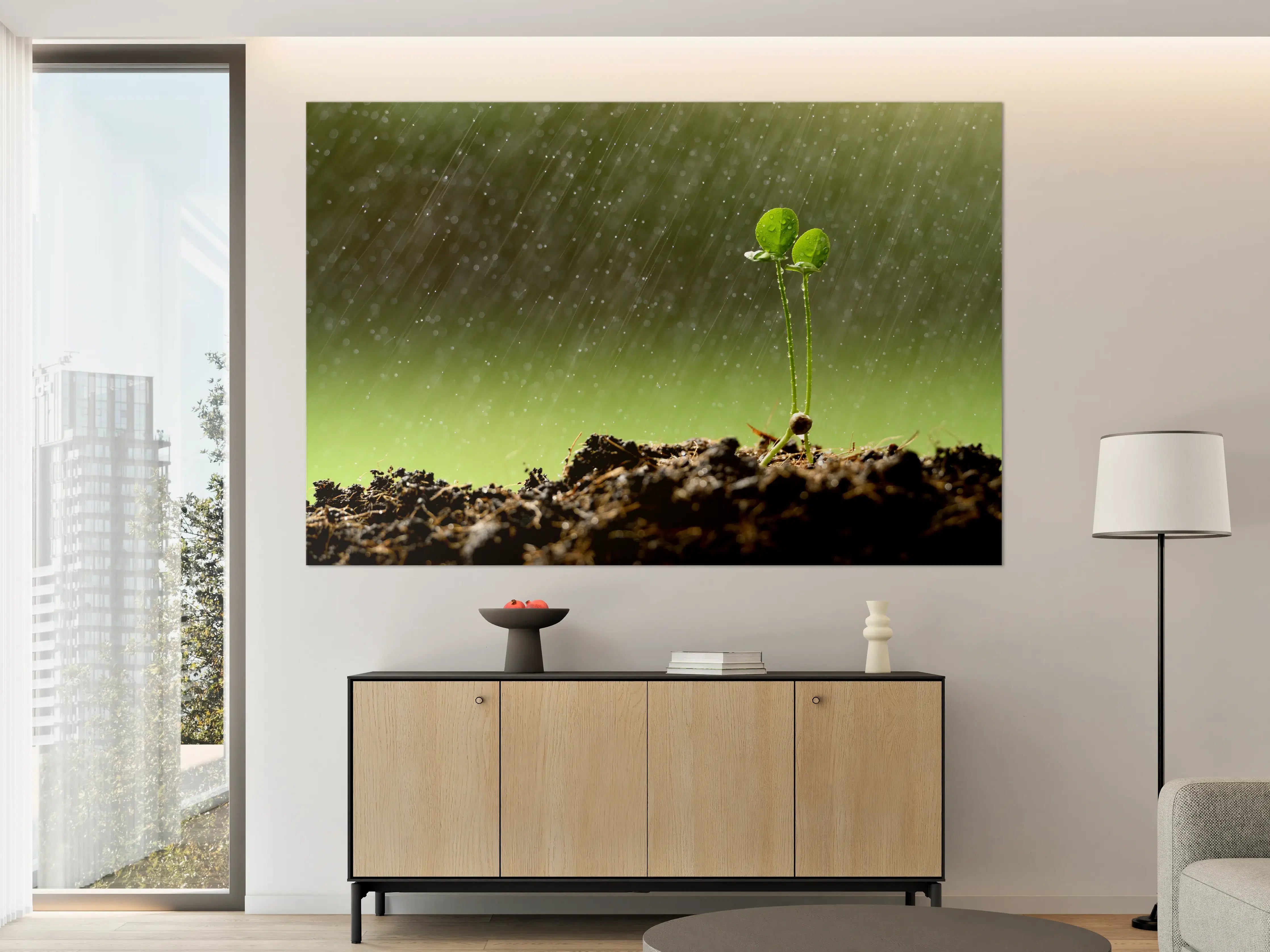 Große Wandbilder - Keimende Pflanze bei Regen
