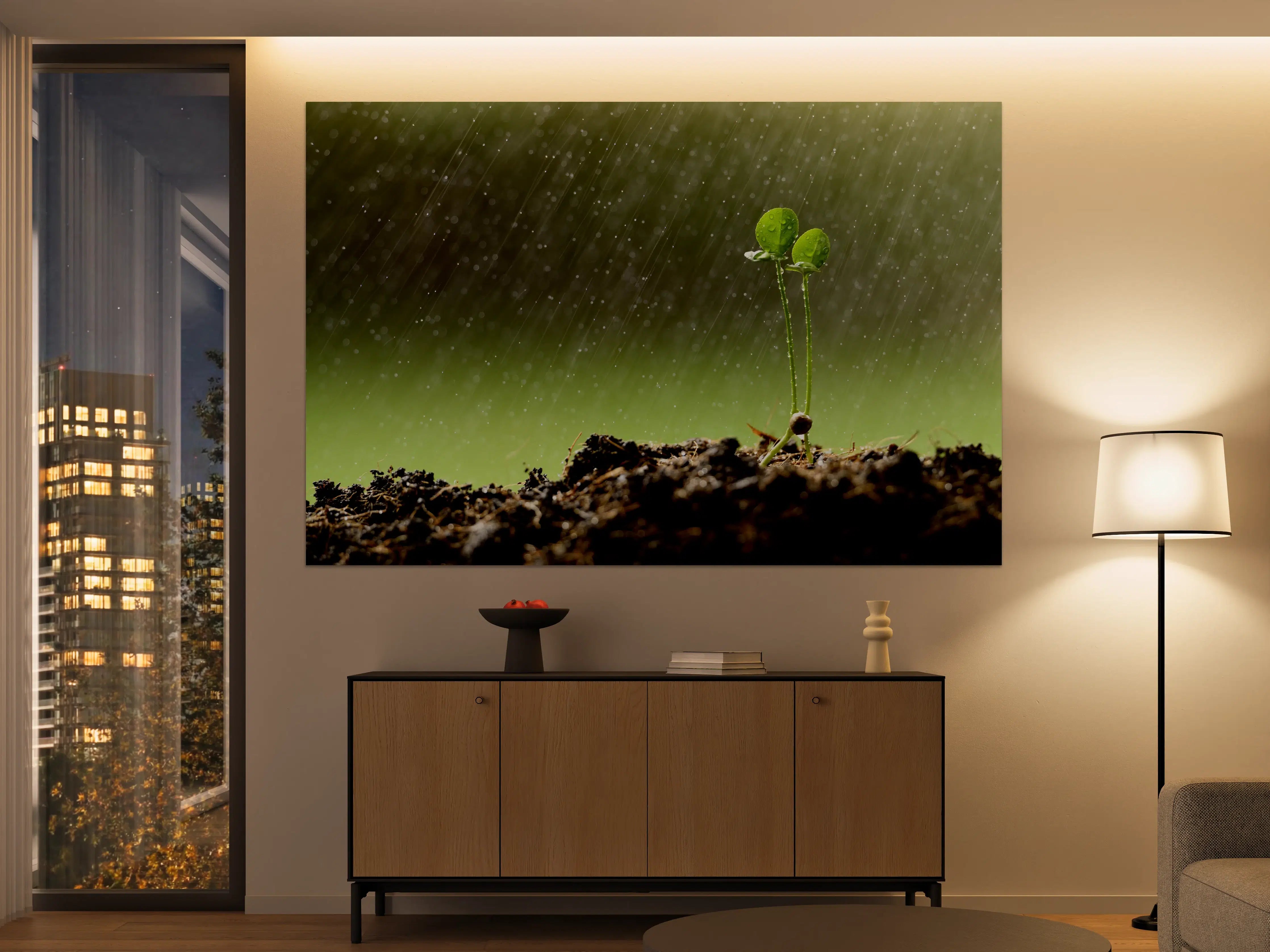 Große Wandbilder - Keimende Pflanze bei Regen