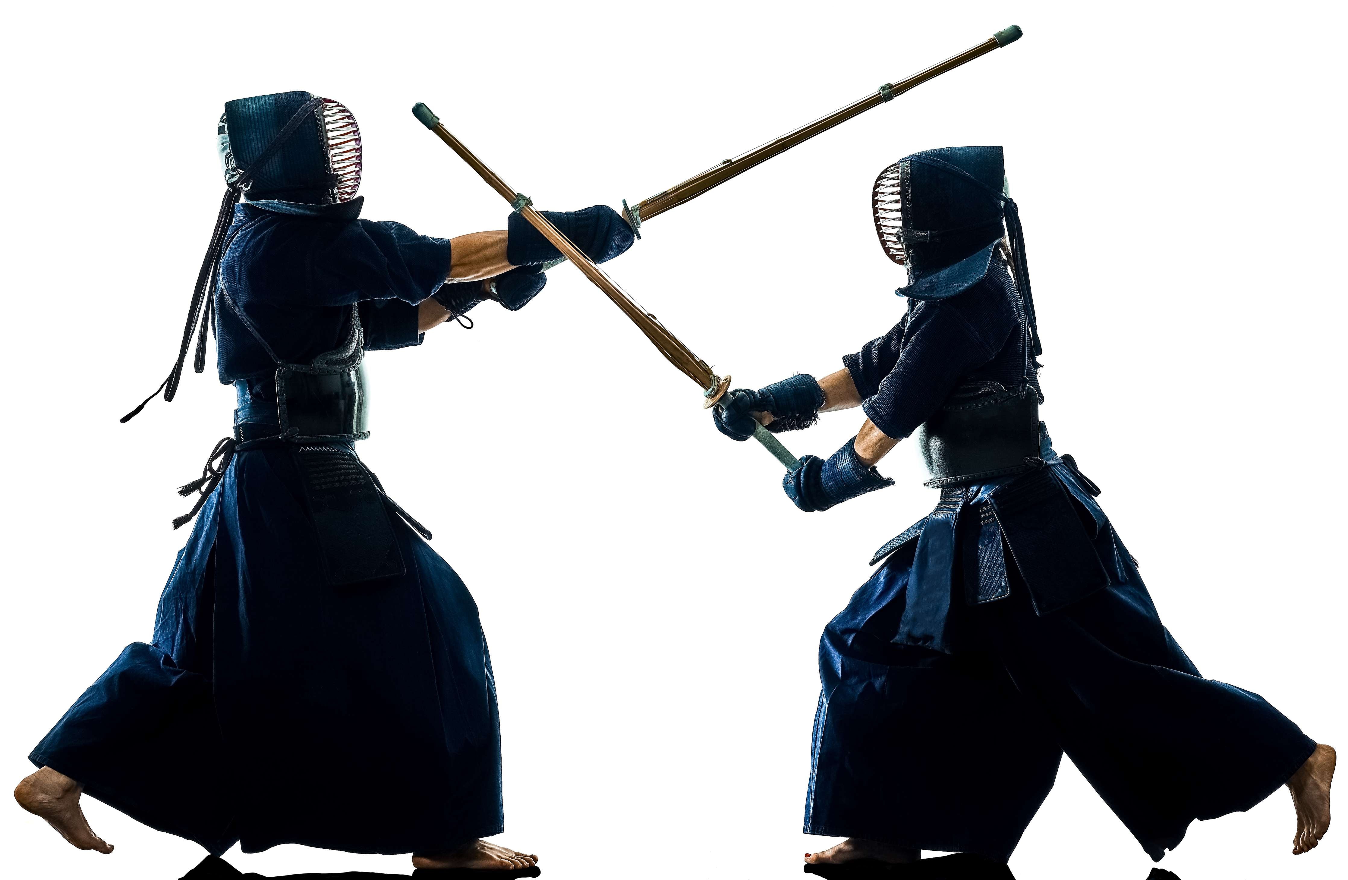 Große Wandbilder-Kendo Kampfsport