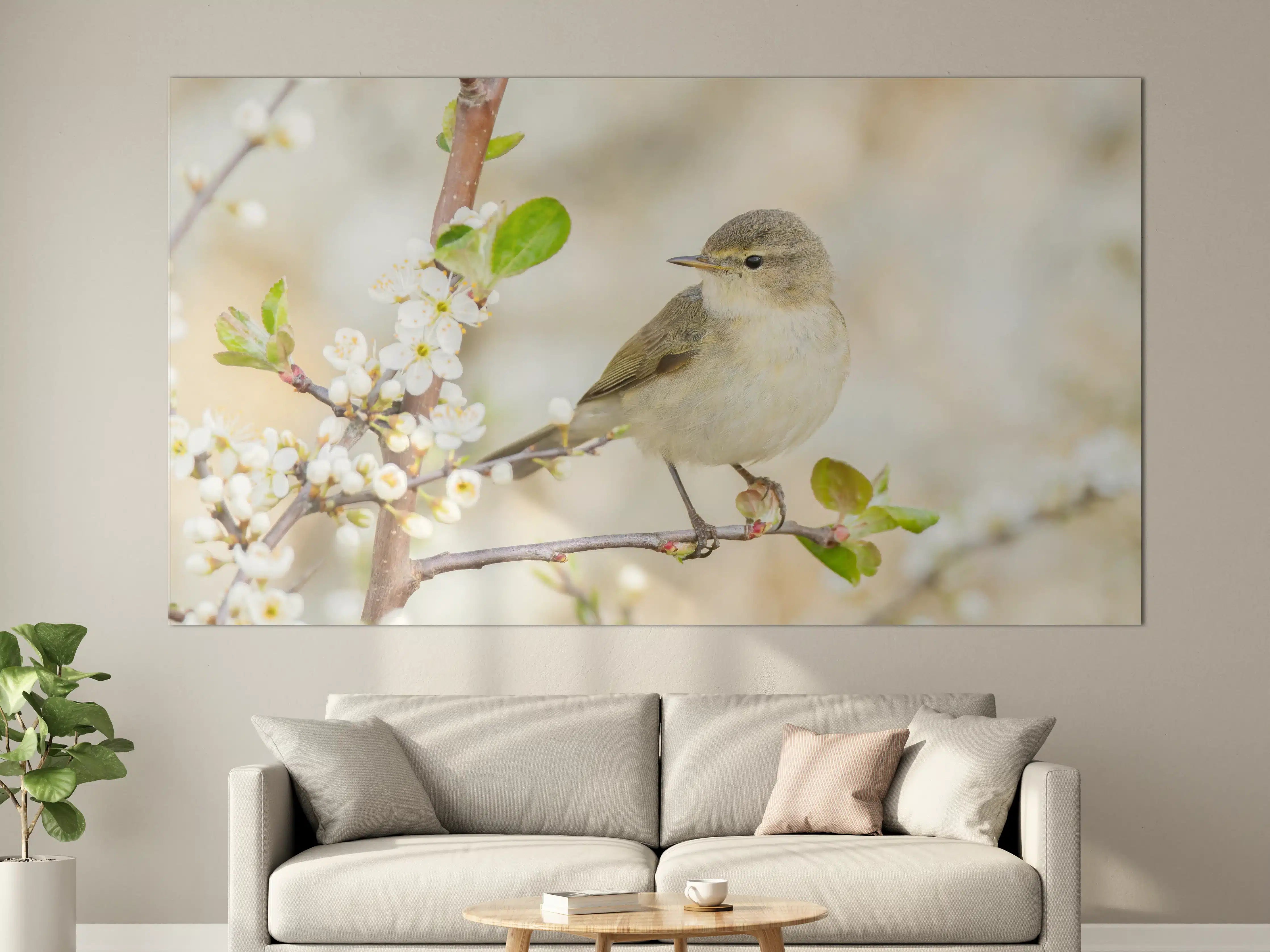 Große Wandbilder - Kleiner Vogel am Baumzweig