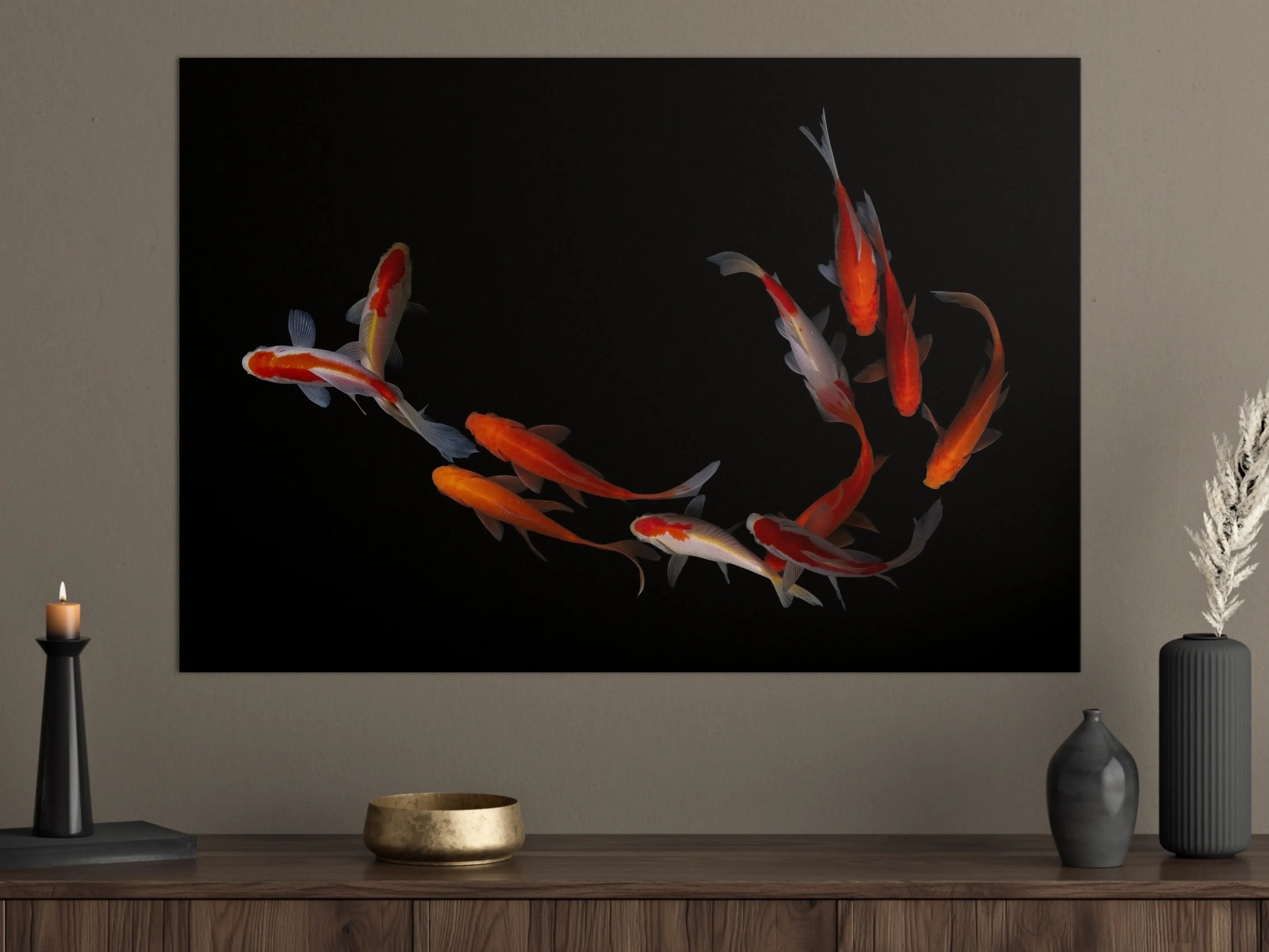 Große Wandbilder - Koi Fische auf schwarzem Hintergrund