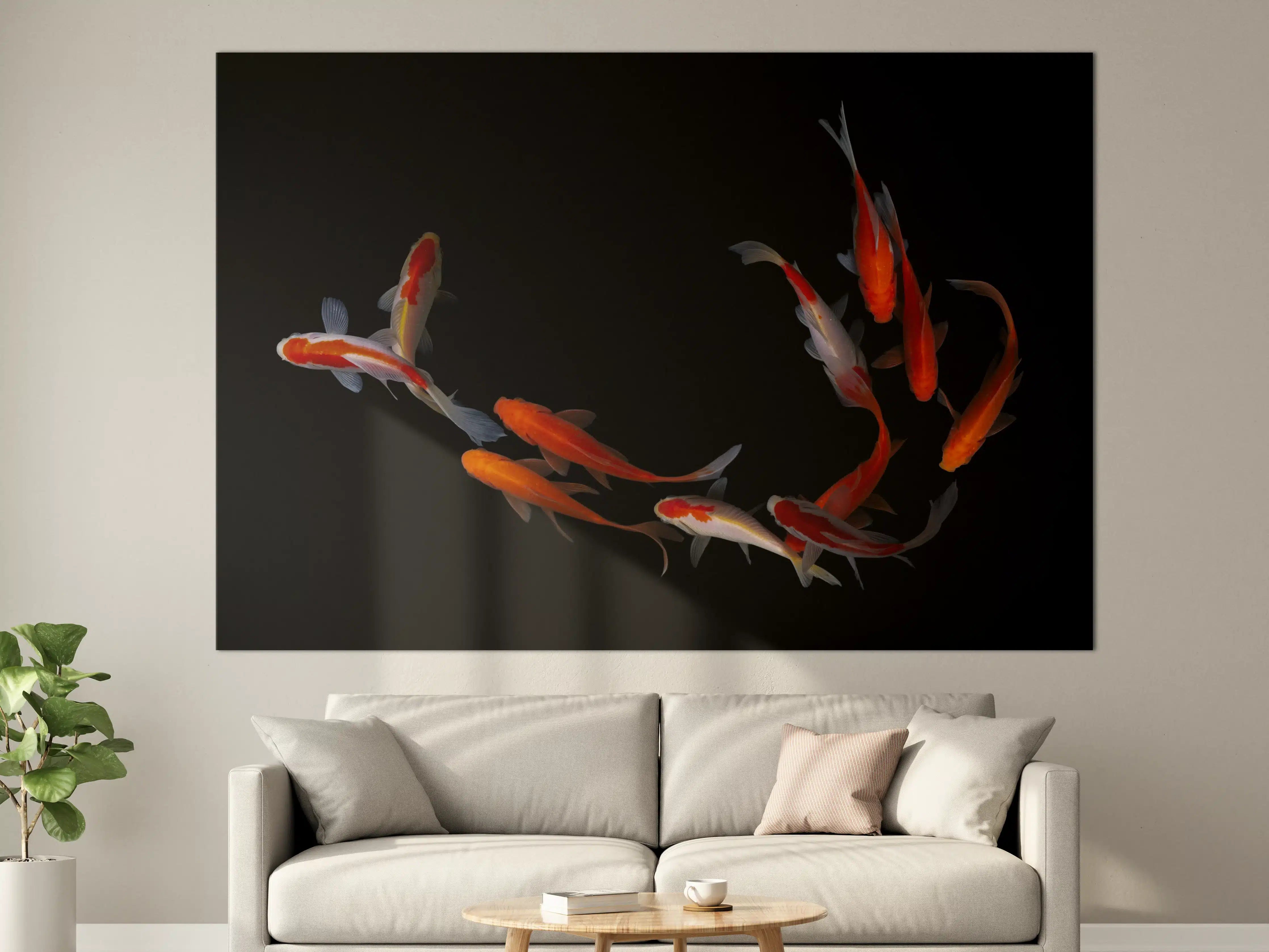 Große Wandbilder - Koi Fische auf schwarzem Hintergrund