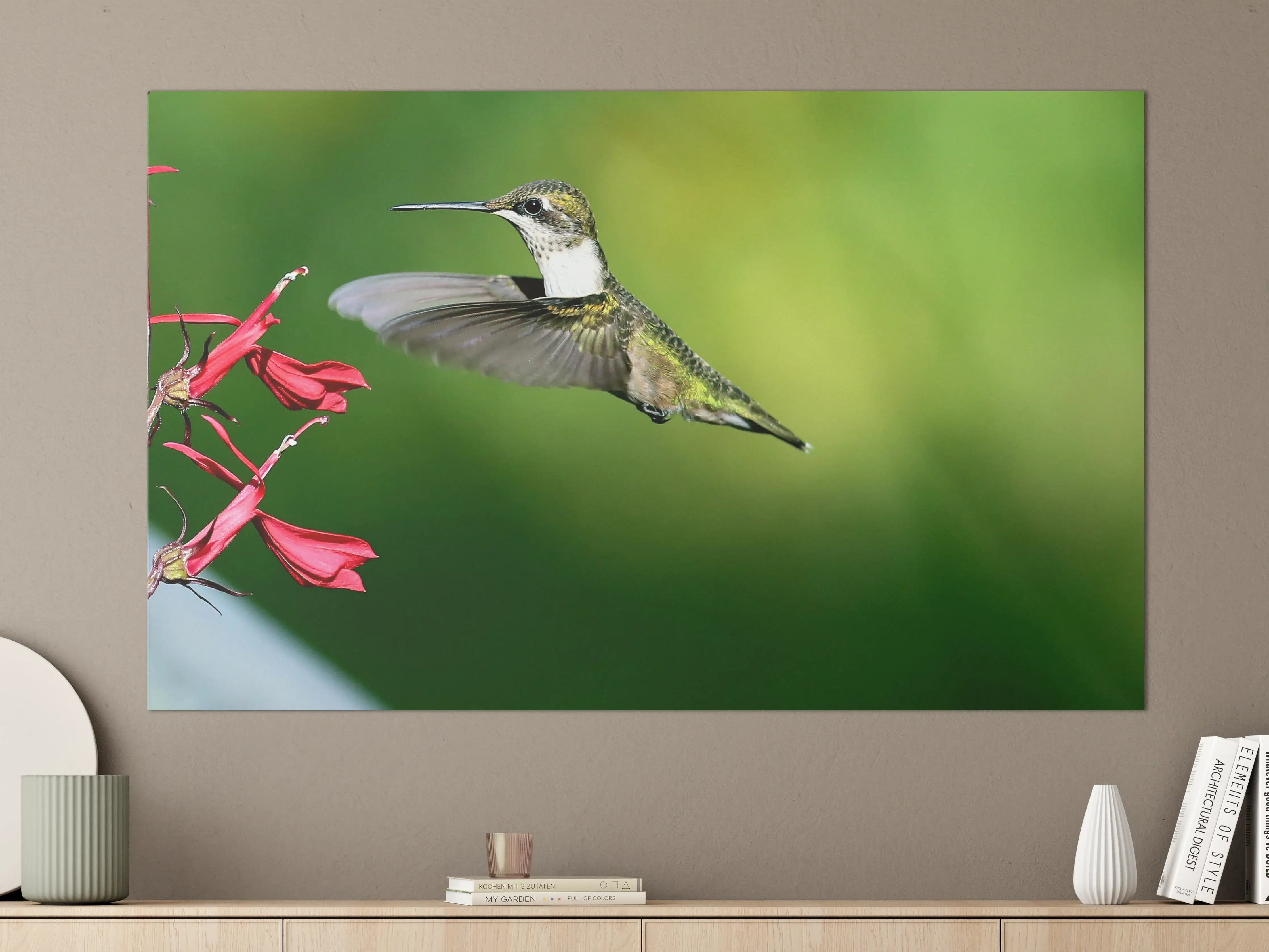 Große Wandbilder - Kolibri-Weibchen im Flug